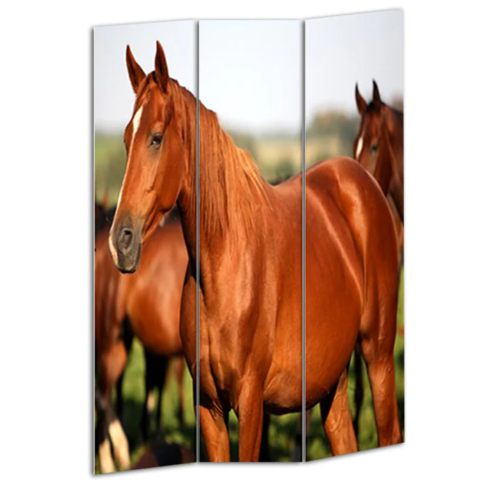 Multi Color Wood Canvas Horse Screen By Homeroots - Image 2