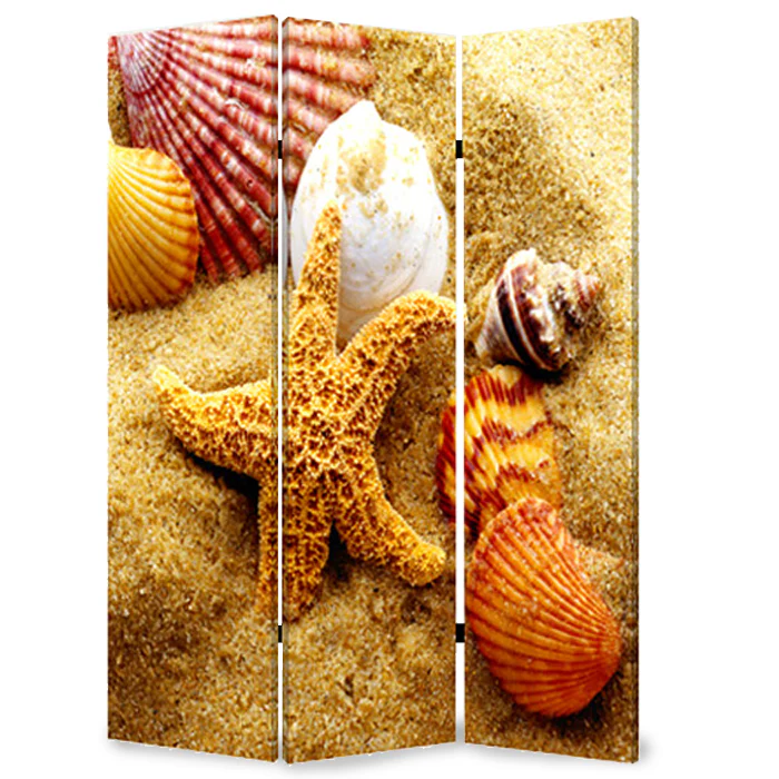 Multi Color Wood Canvas Sea Shell Screen By Homeroots - Image 2