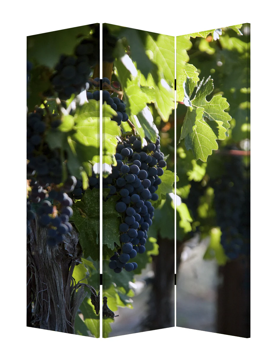 Multi Color Wood Canvas Wine Country Screen By Homeroots - Image 2
