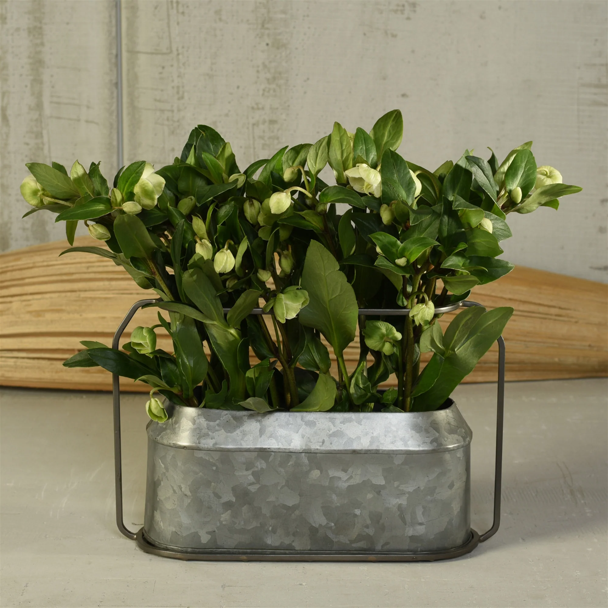 Napa Vase, Metal & Zinc - Oval, Large - Zinc By HomArt - Image 4