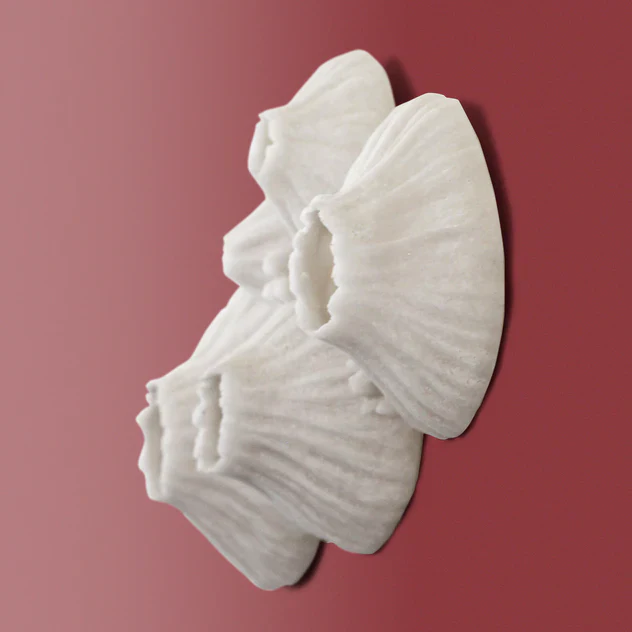 Paleo 7.2"W Wall Art By Gold Leaf Design Group - Image 8