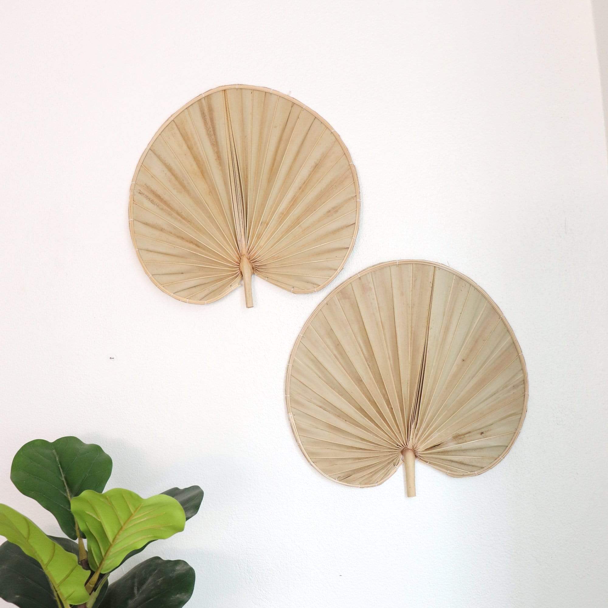 Palm Leaf Wall Decor Set Of 2 -  Phi Ya Pat By Thaihome - Image 3
