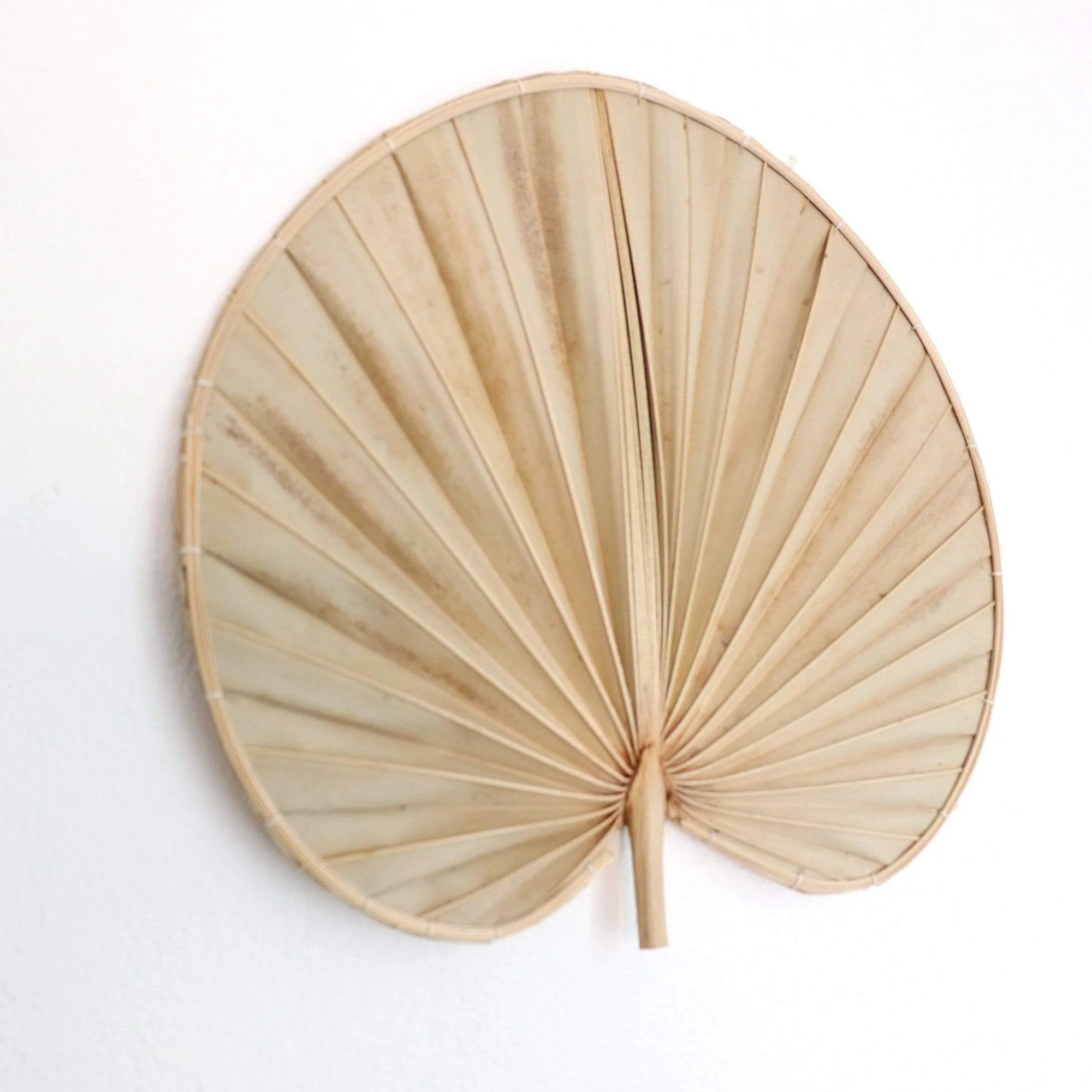 Palm Leaf Wall Decor Set Of 2 -  Phi Ya Pat By Thaihome - Image 6