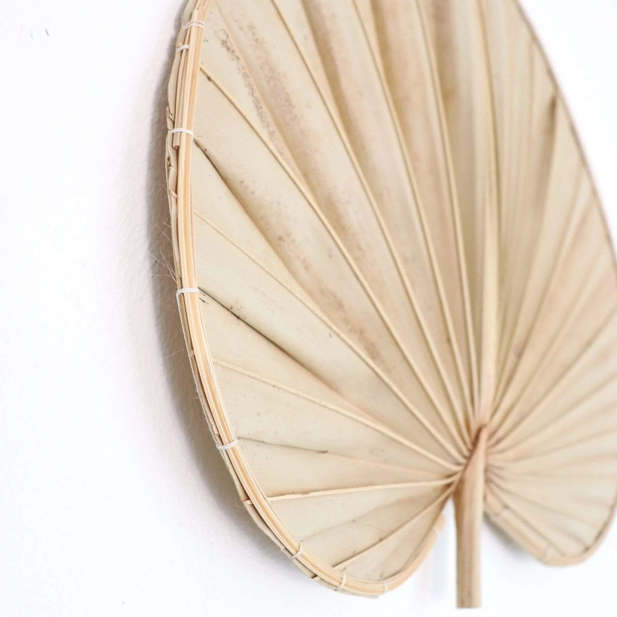 Palm Leaf Wall Decor Set Of 2 -  Phi Ya Pat By Thaihome - Image 7