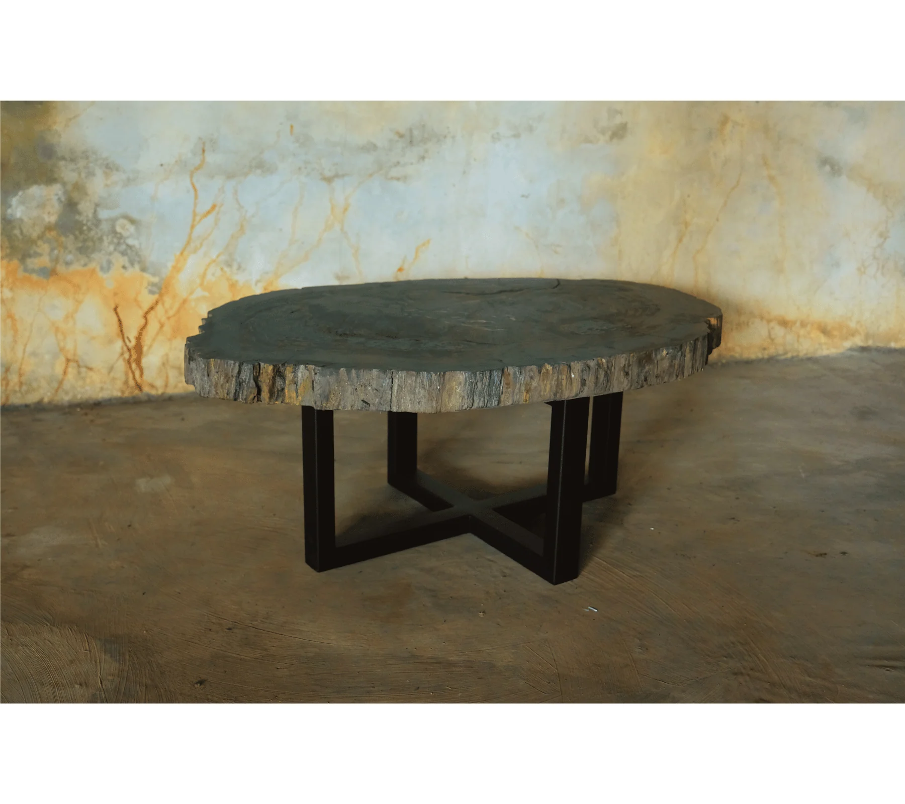 Petrified Wood Jumbo Slab Coffee Table with metal legs- 39.5in x 30.5in - Image 3