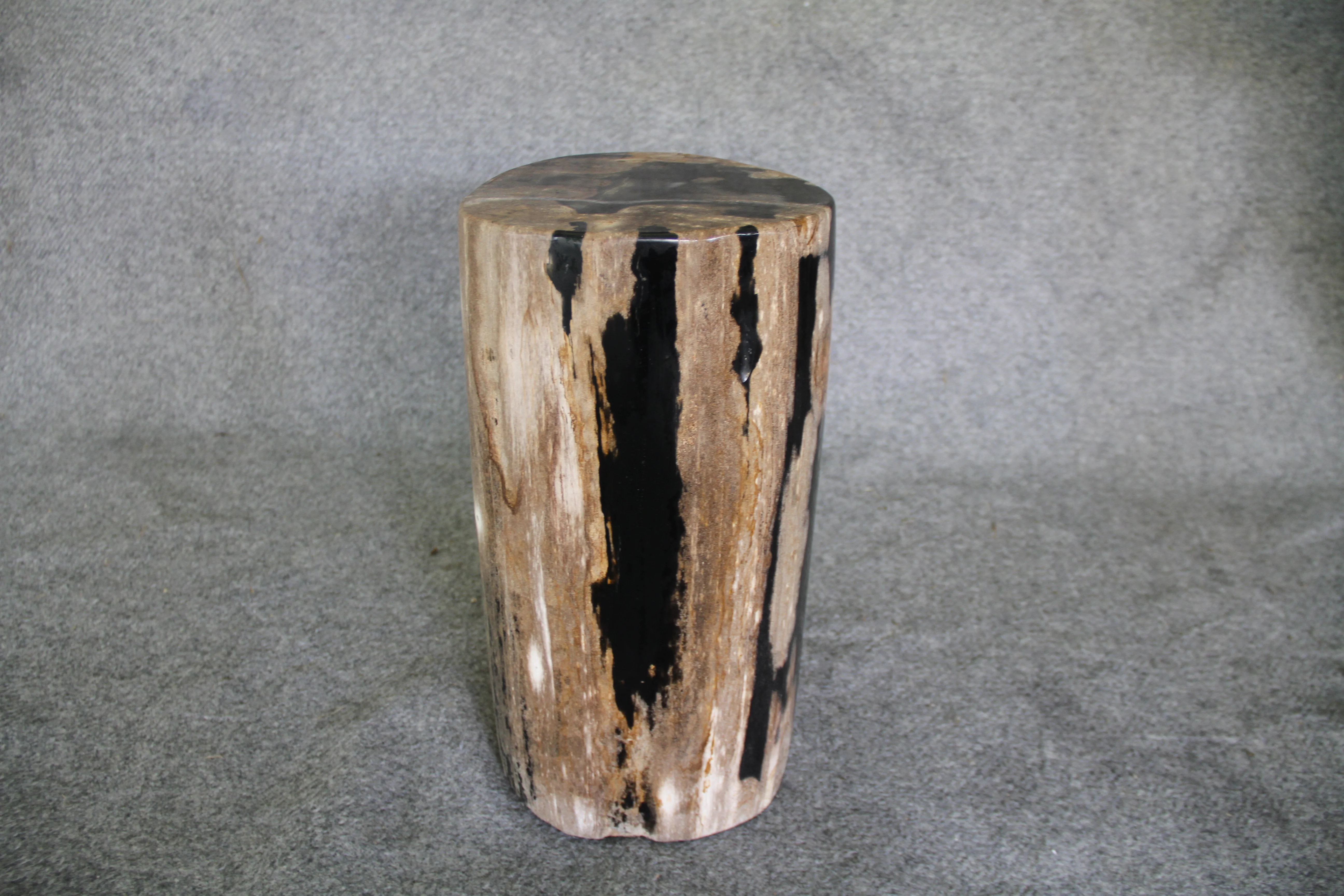 Petrified Wood Log Stool 10 in x 10 in x 16.5in (h) - DV.1.112 - Image 3