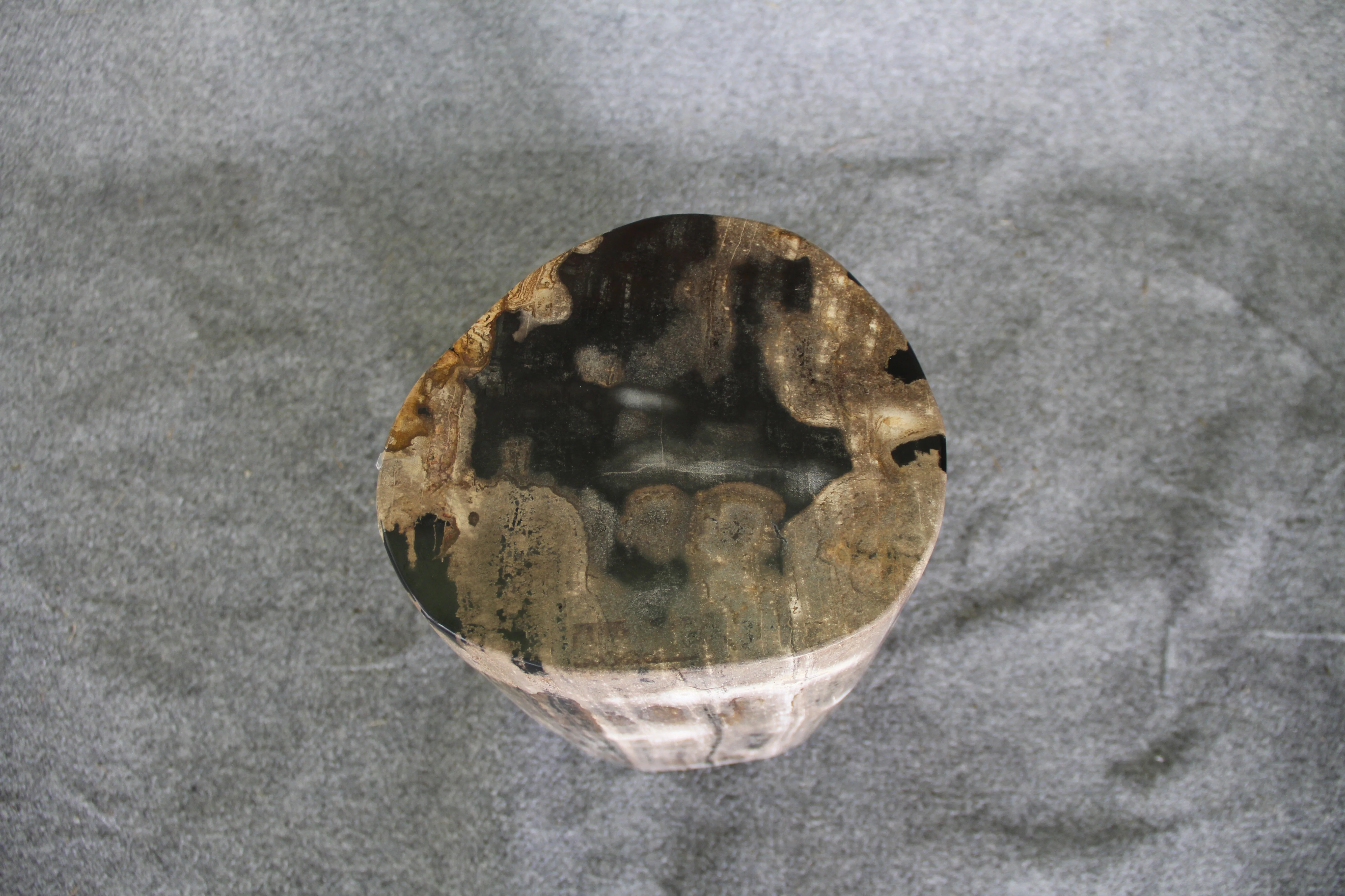 Petrified Wood Log Stool 10 in x 10 in x 16.5in (h) - DV.1.112 - Image 5