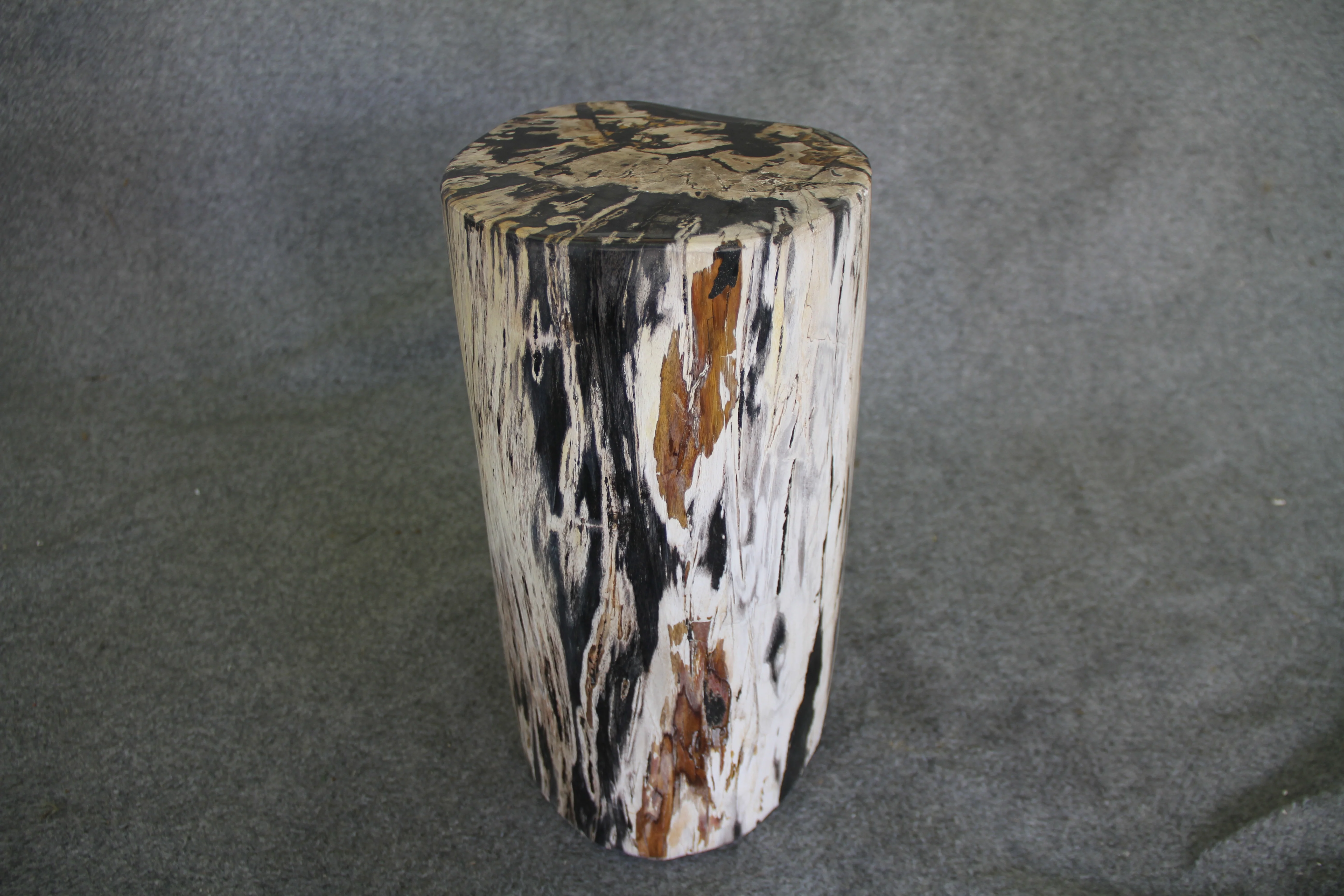 Petrified Wood Log Stool  10 x 9 x 16.5 - 108.21 - Image 3
