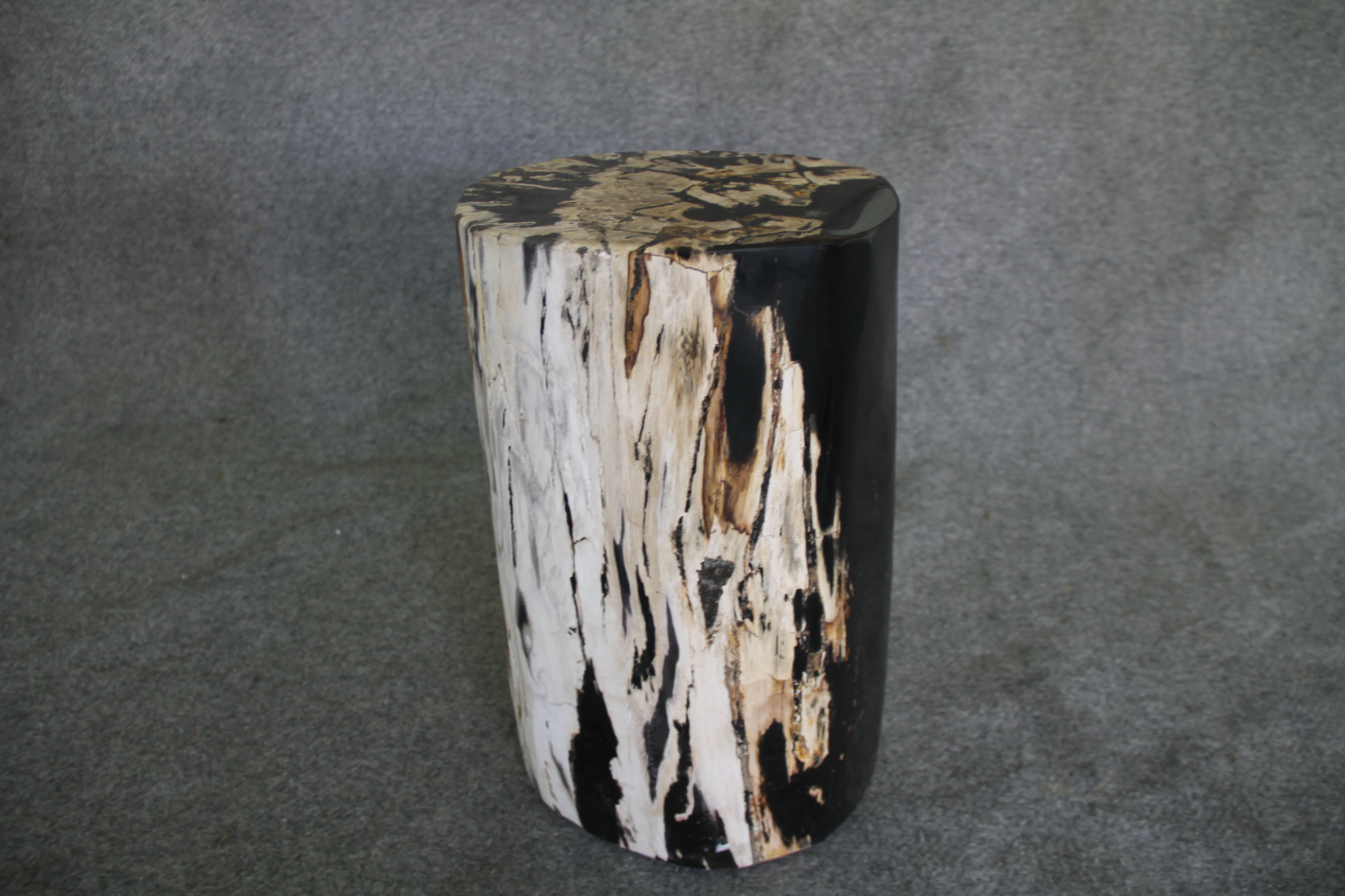 Petrified Wood Log Stool  10 x 9 x 16.5 - 108.21 - Image 4