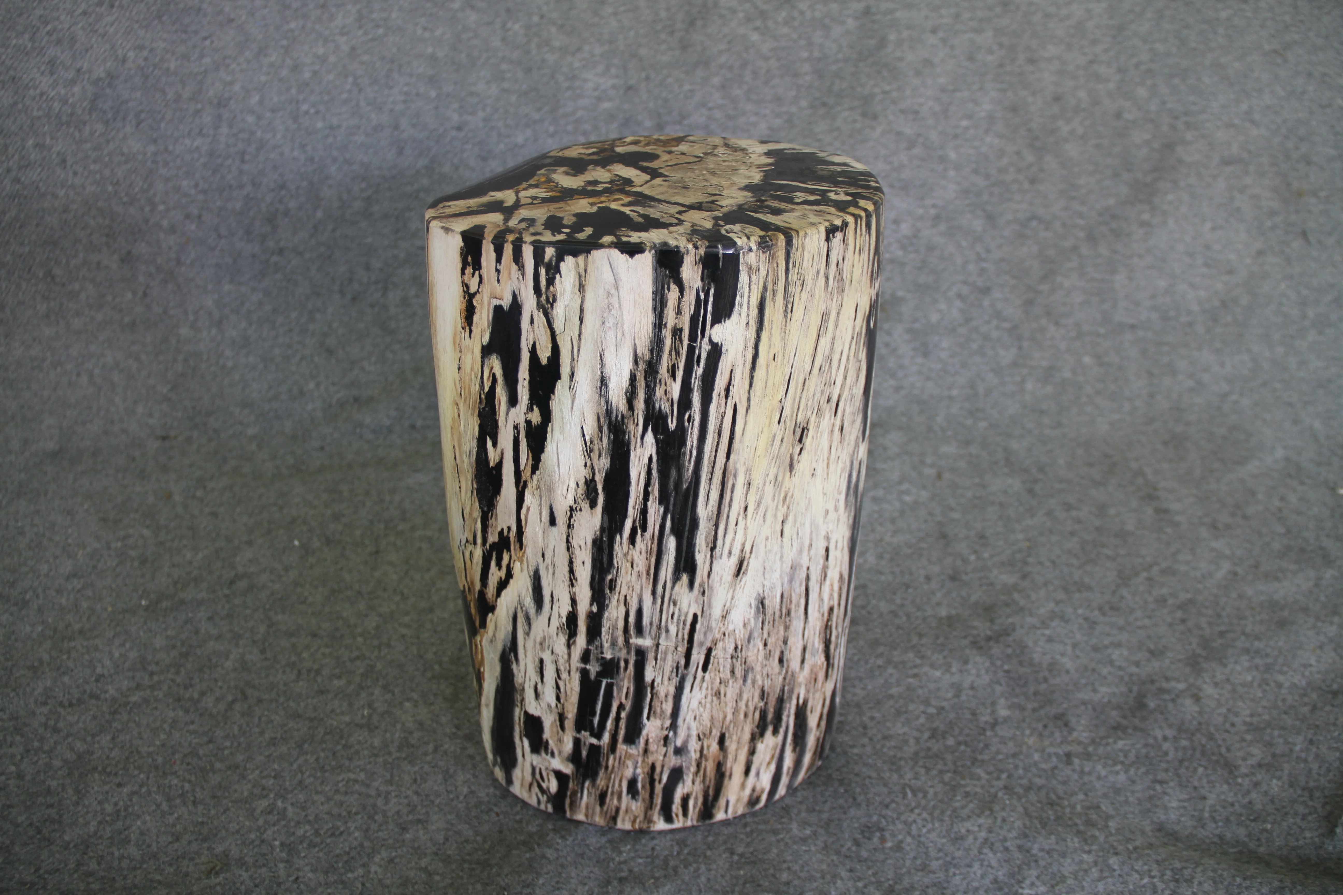 Petrified Wood Log Stool  10 x 9 x 16.5 - 108.21 - Image 5