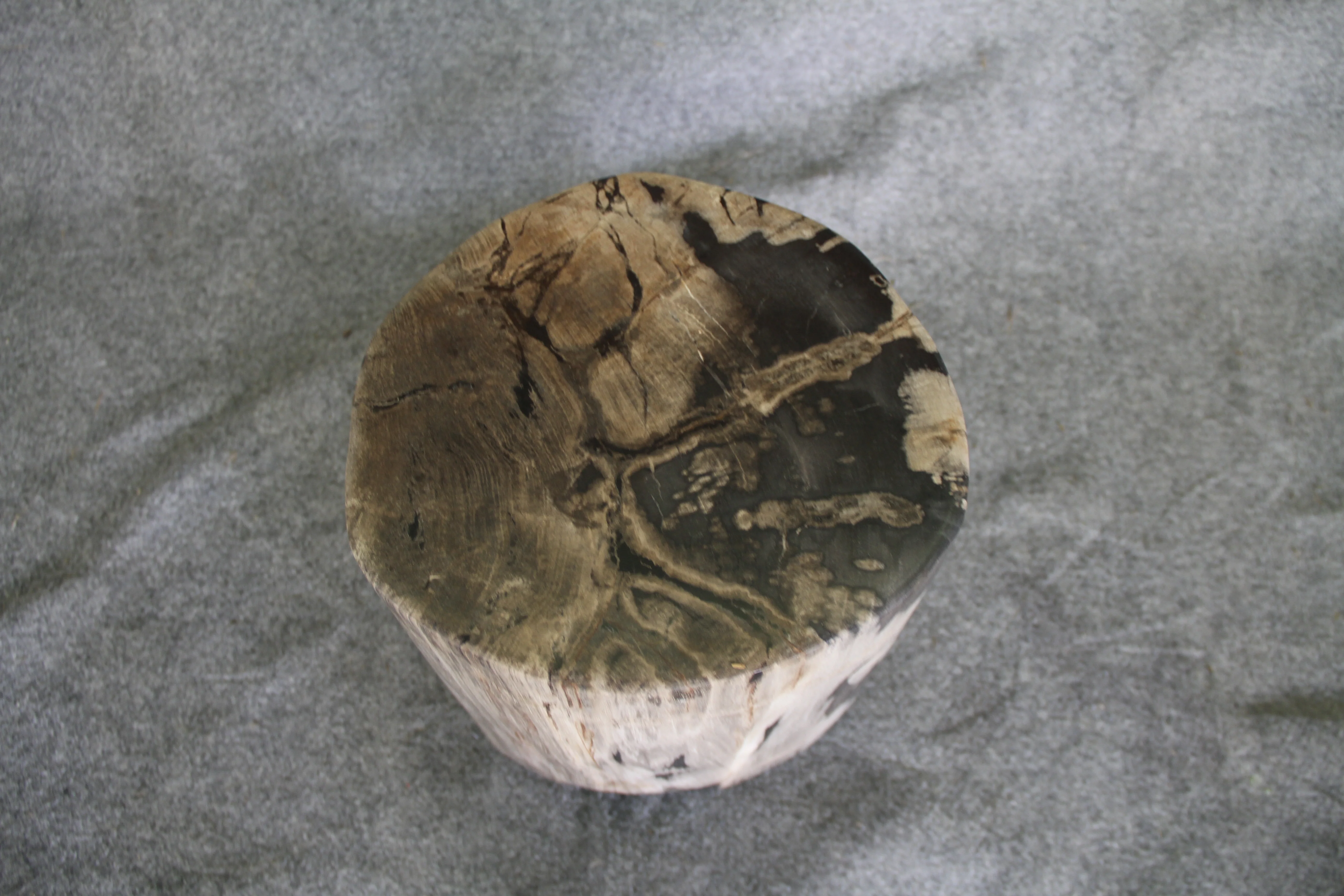 Petrified Wood Log Stool 11" x 11" 16" 1682.21 - Image 5