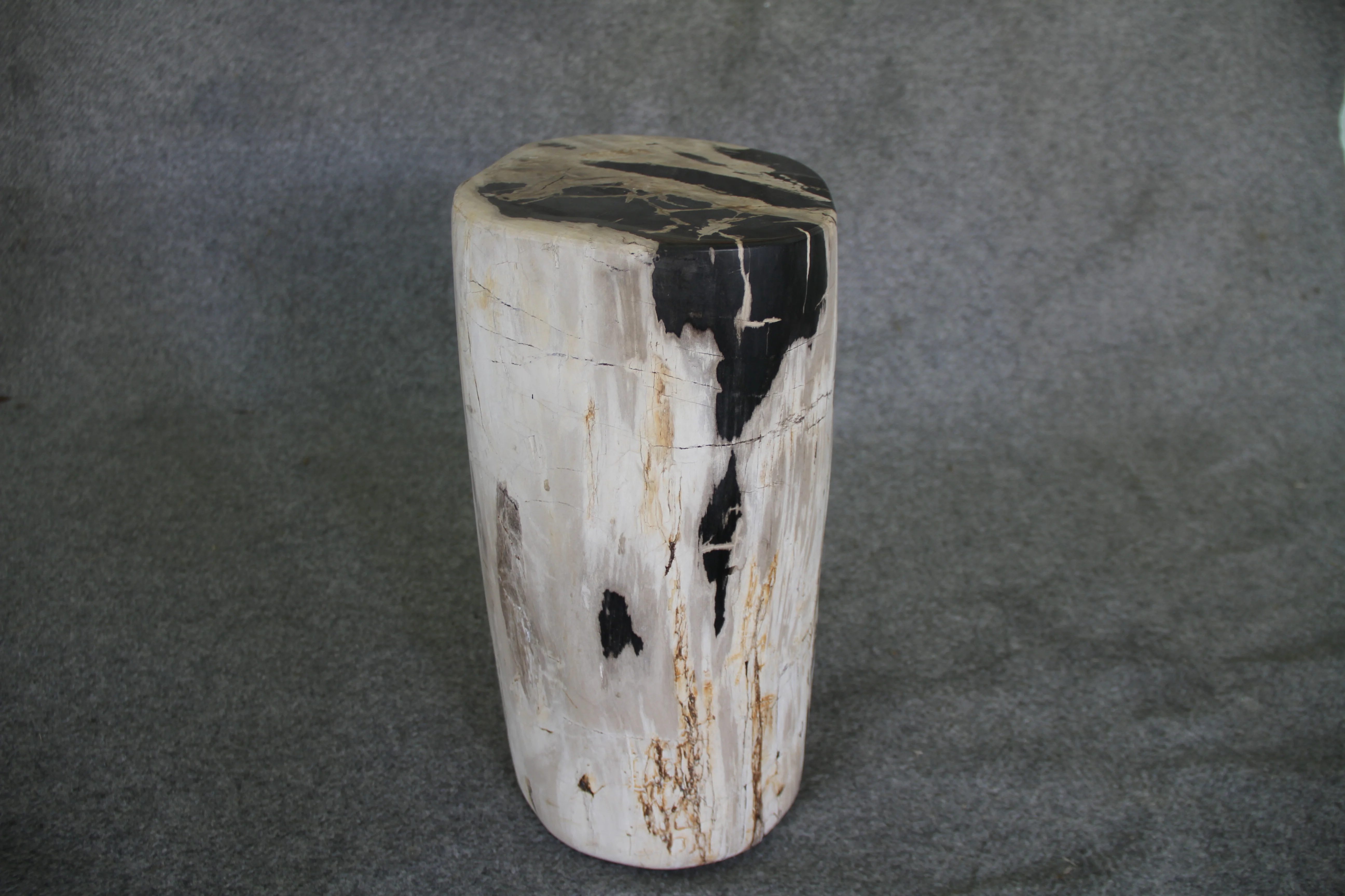 Petrified Wood Log Stool 12 x 9 x 17 - 1402.21 - Image 3