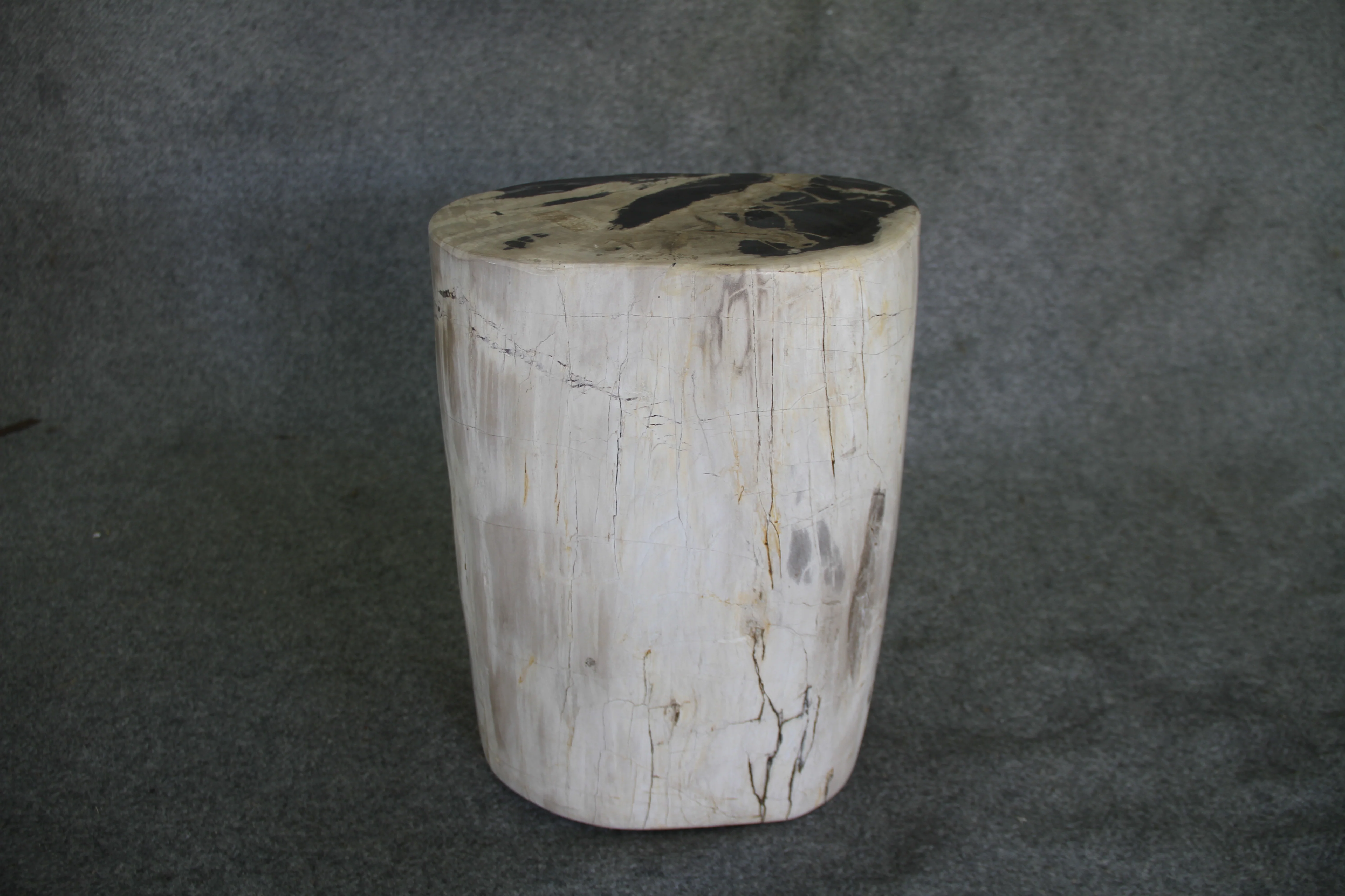 Petrified Wood Log Stool 12 x 9 x 17 - 1402.21 - Image 4