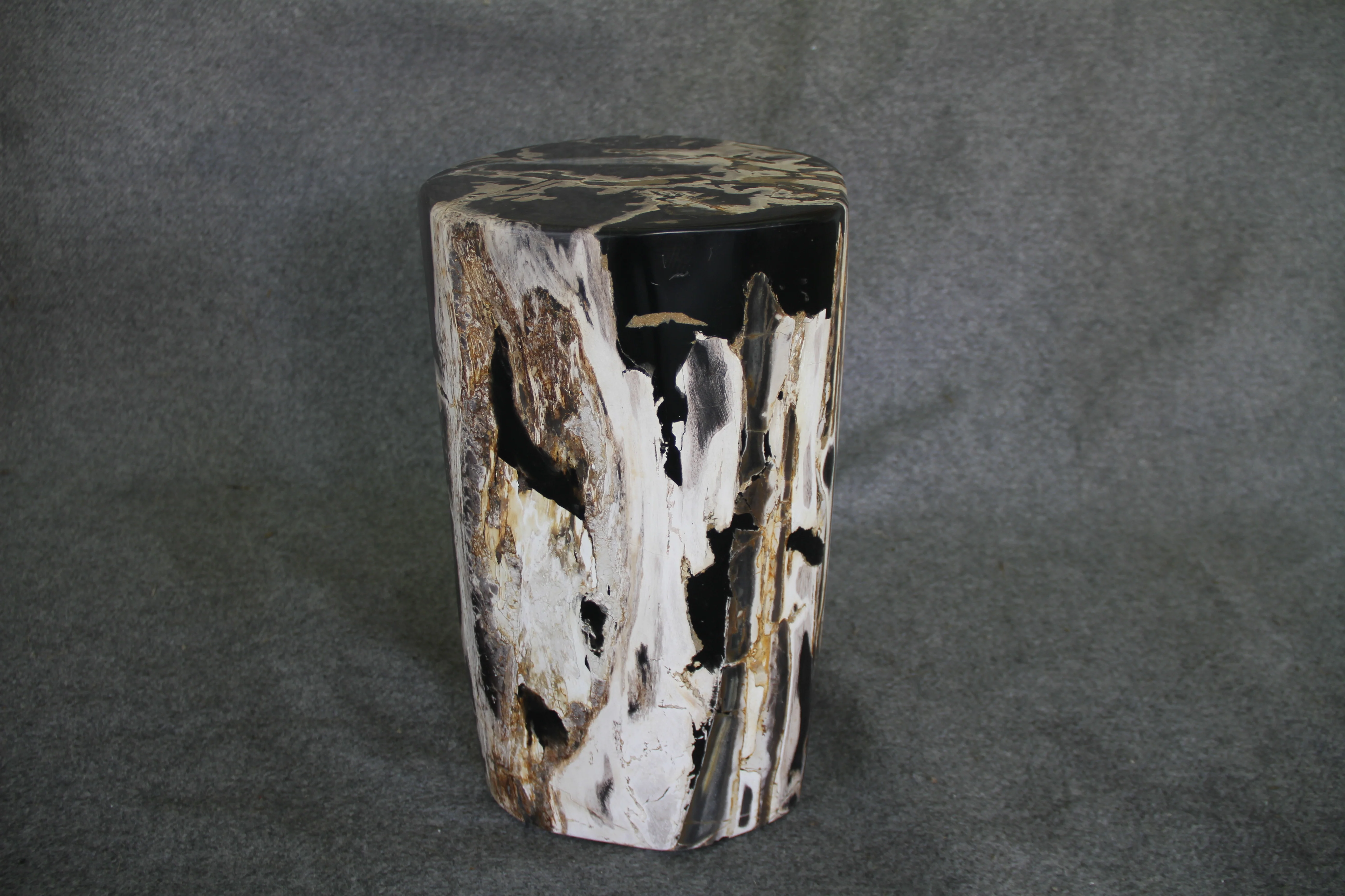 Petrified Wood Log Stool 13 x 11 x 18 - DV.1.111 - Image 3