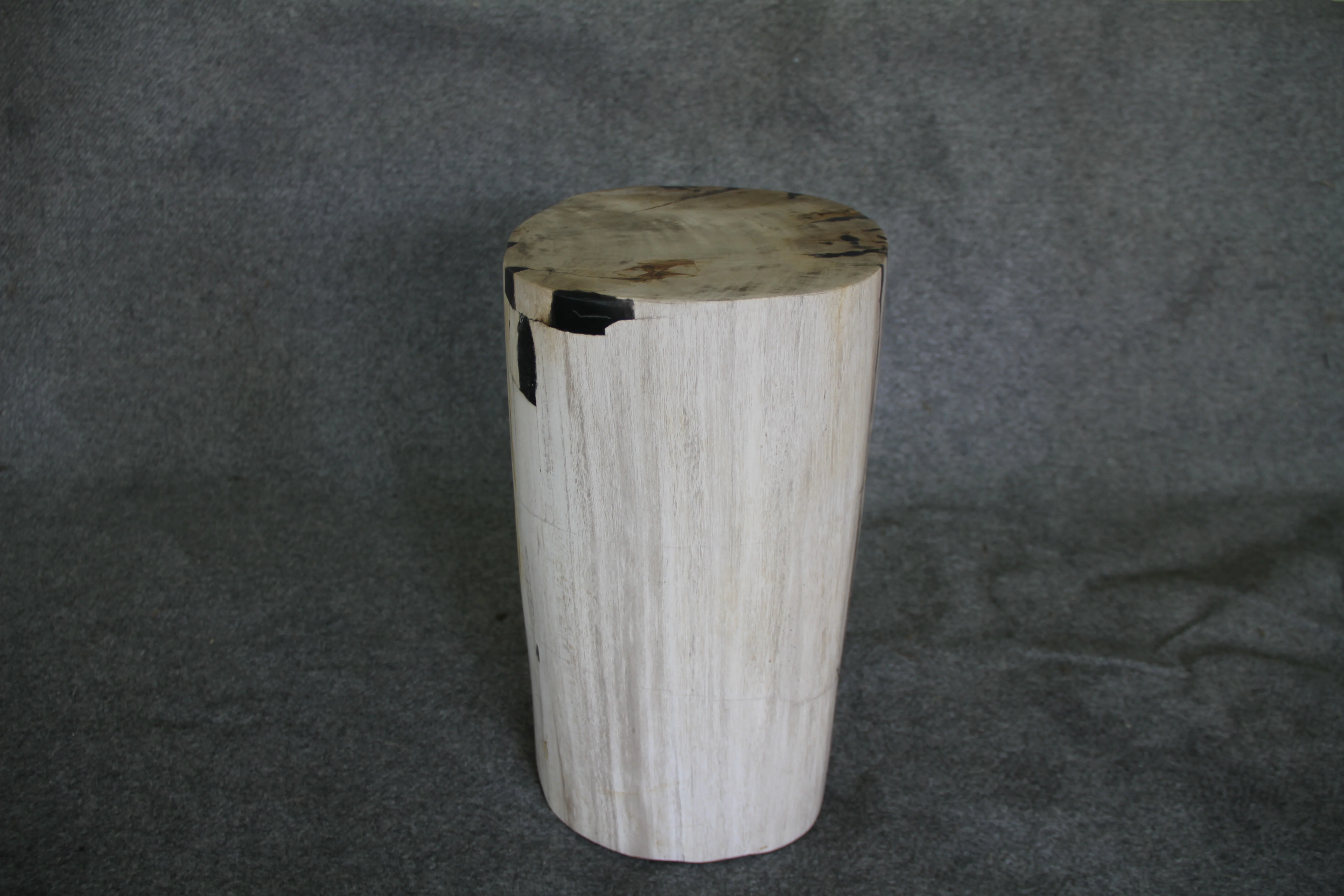 Petrified Wood Log Stool 15 x 10 x 17 - 1770.21 - Image 3