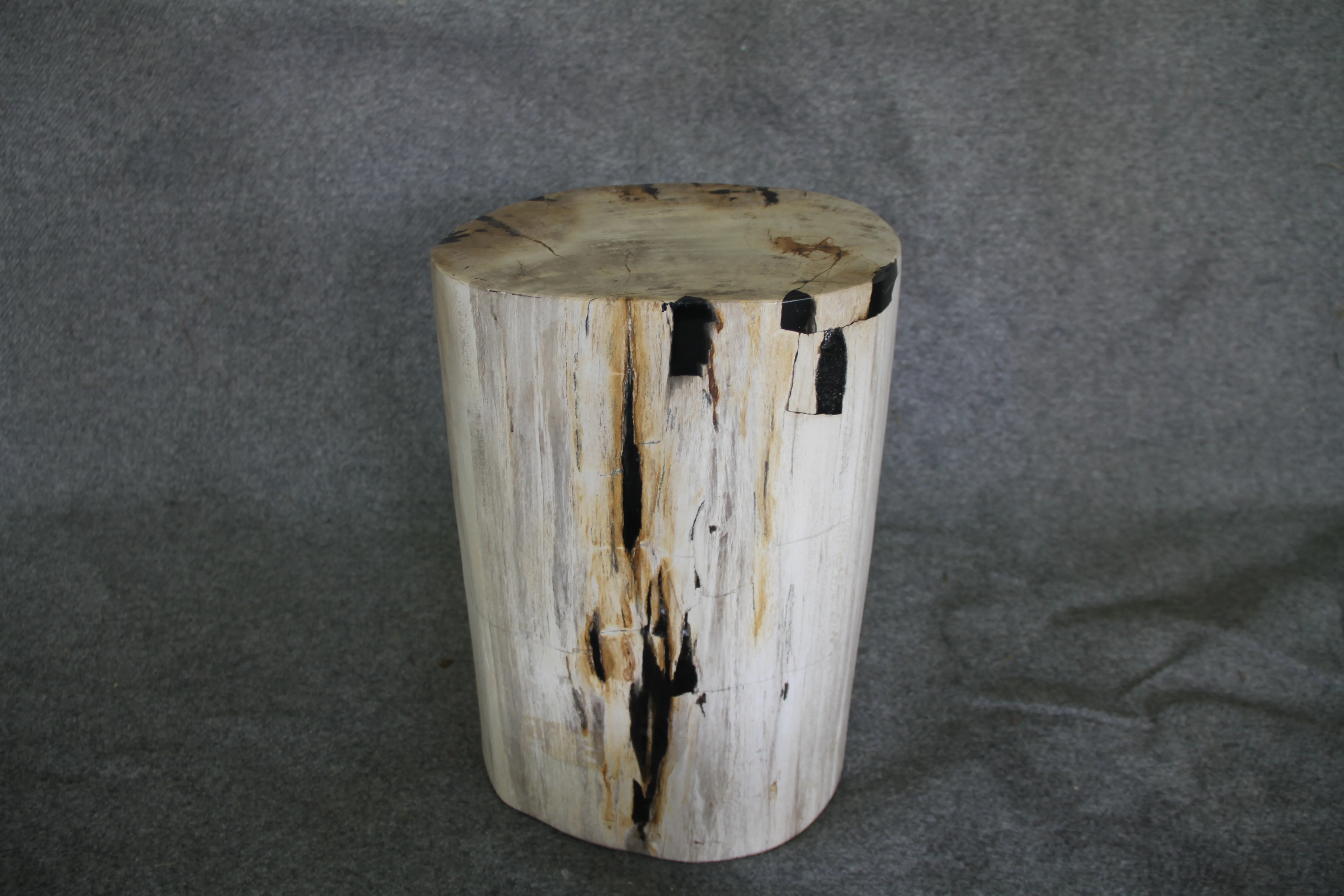 Petrified Wood Log Stool 15 x 10 x 17 - 1770.21 - Image 4