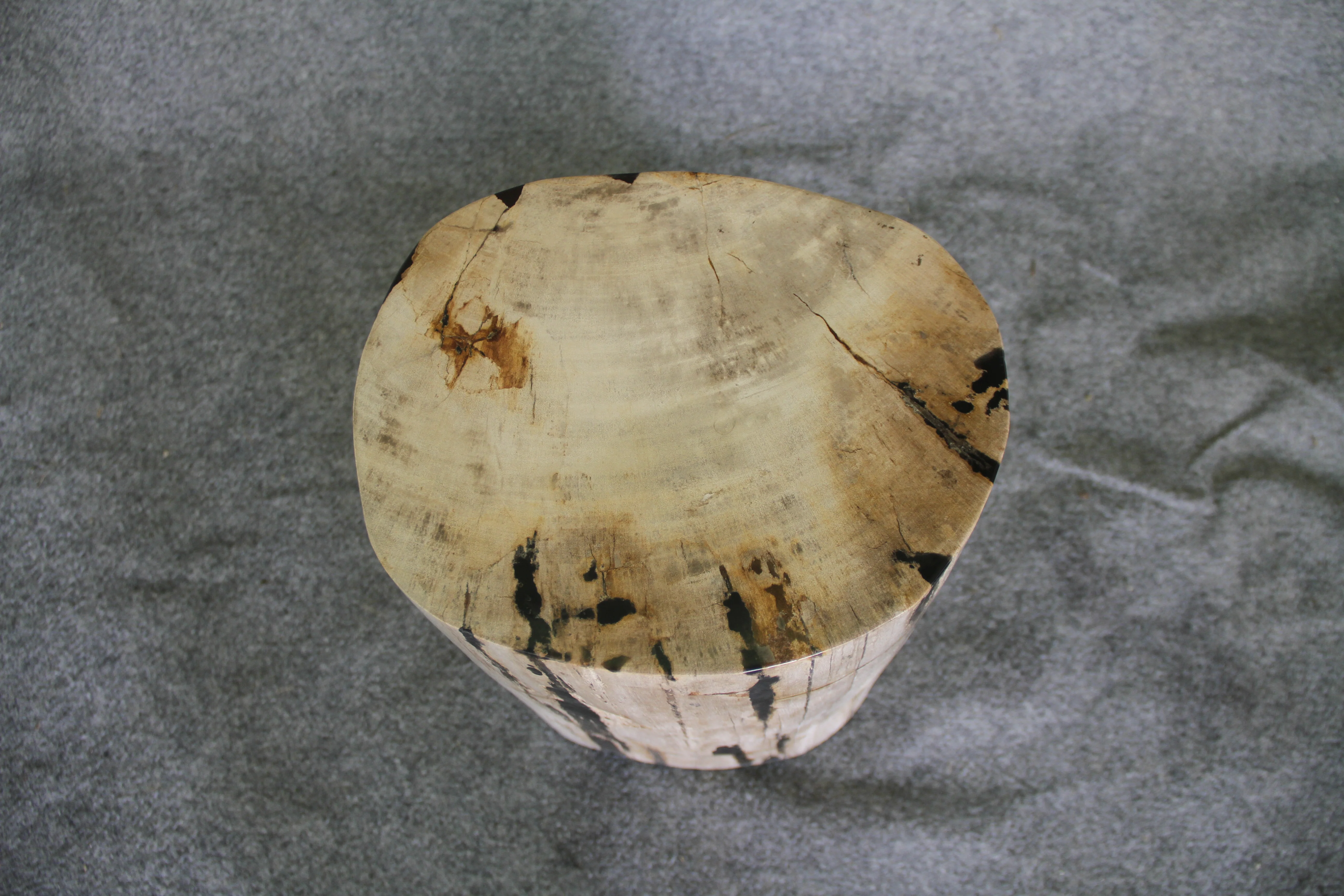 Petrified Wood Log Stool 15 x 10 x 17 - 1770.21 - Image 5