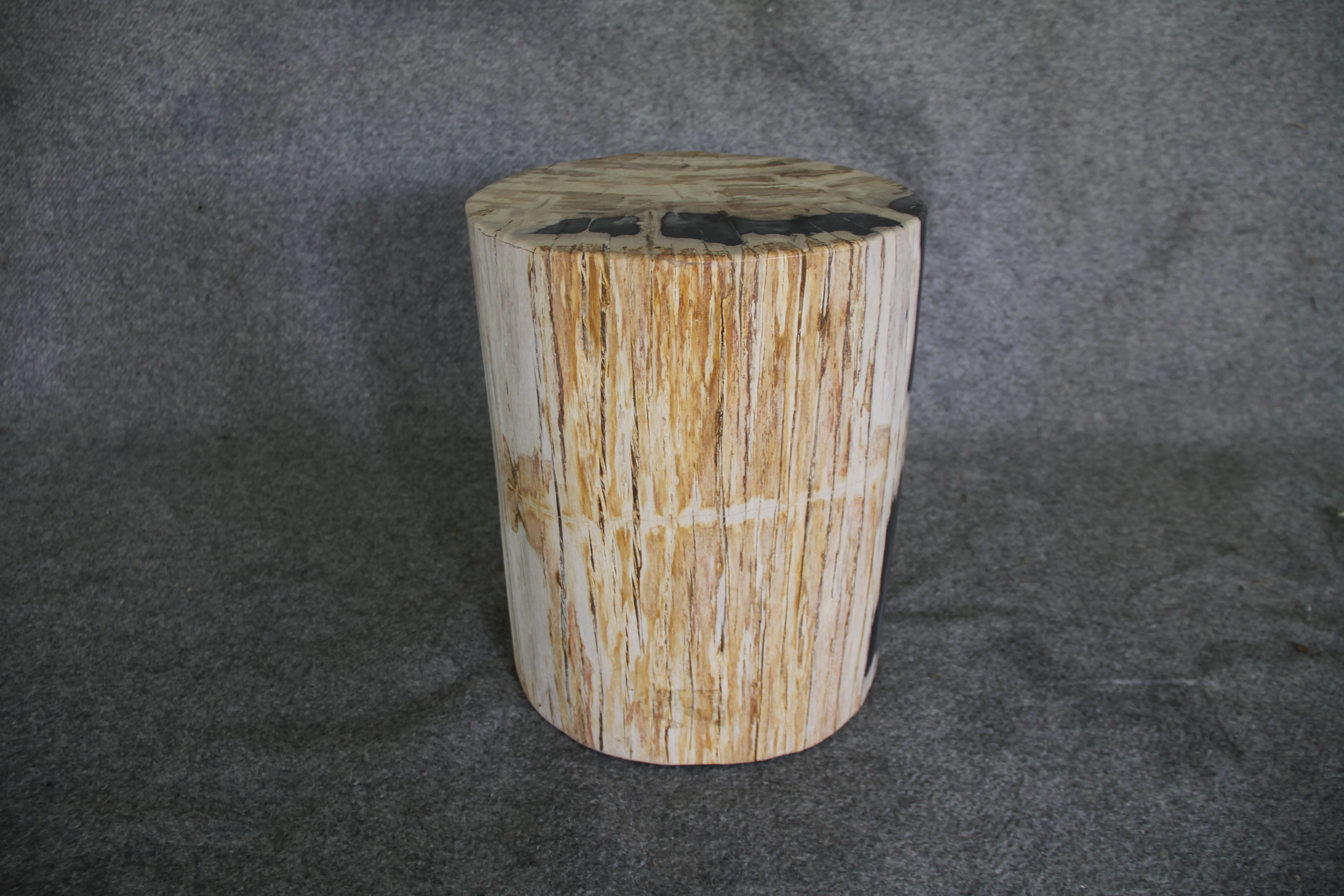 Petrified Wood Log Stool 16in (h) x 13in x 11in - DV.1.175 - Image 2