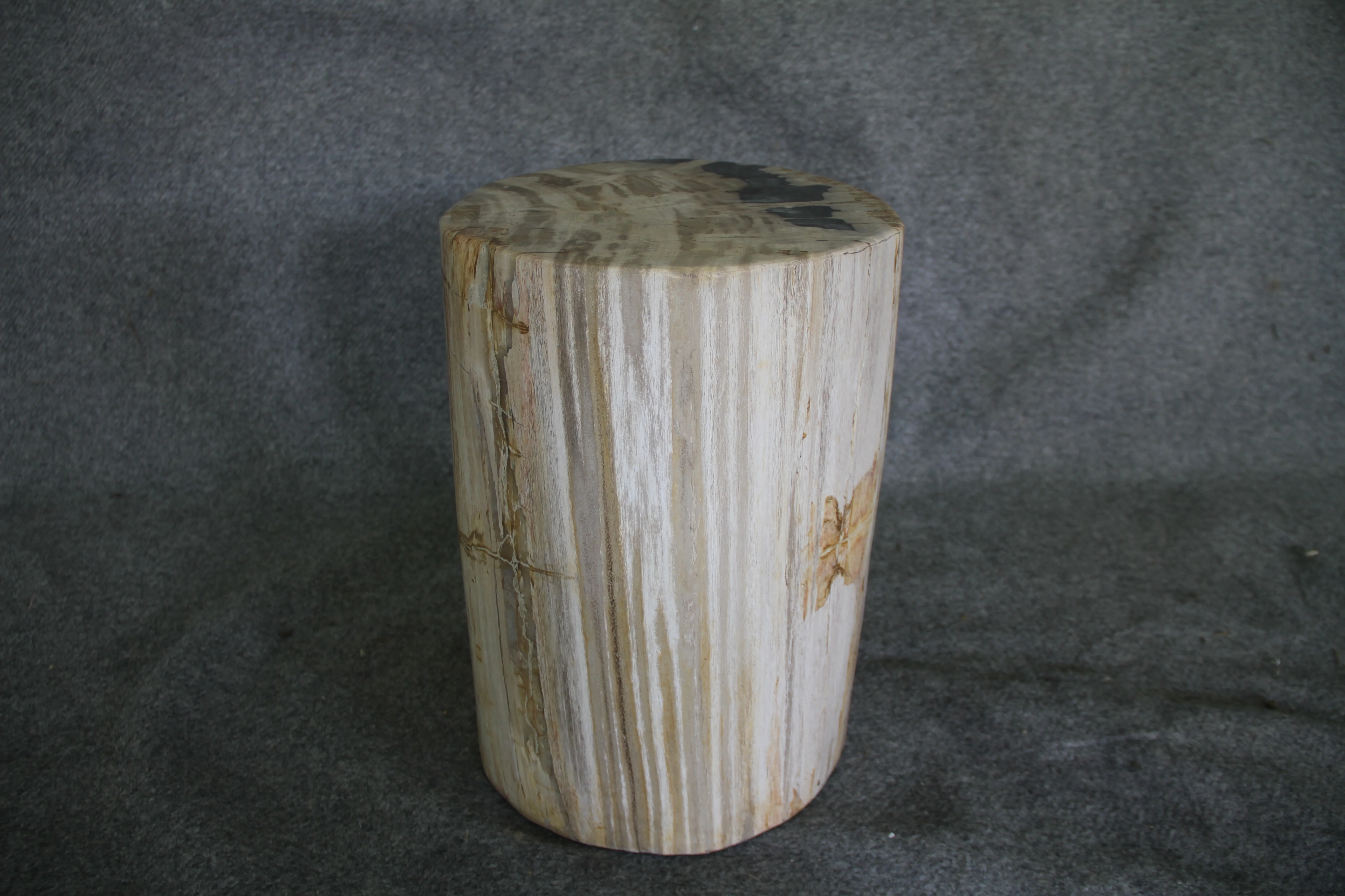Petrified Wood Log Stool 16in (h) x 13in x 11in - DV.1.175 - Image 3