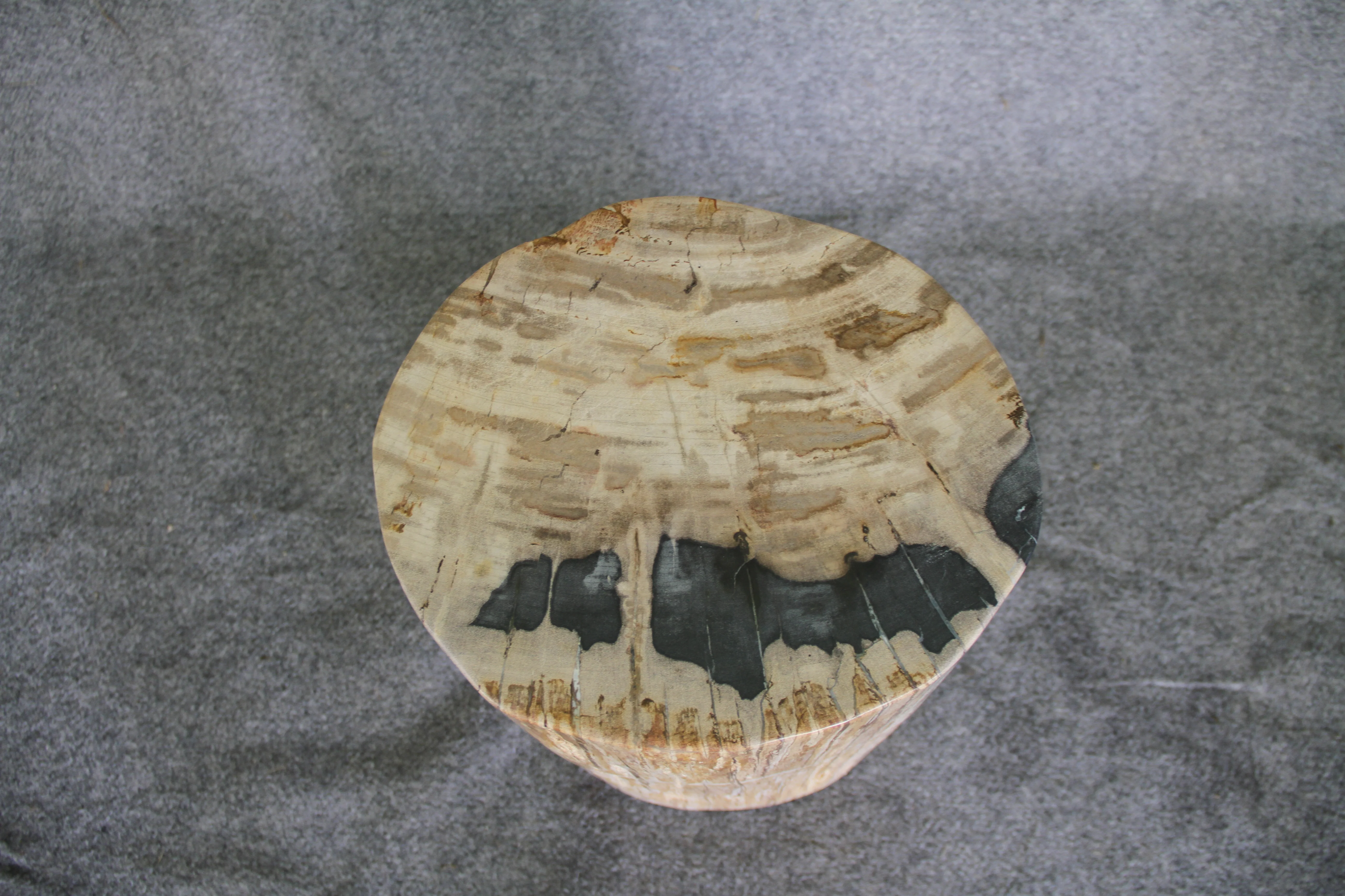 Petrified Wood Log Stool 16in (h) x 13in x 11in - DV.1.175 - Image 5