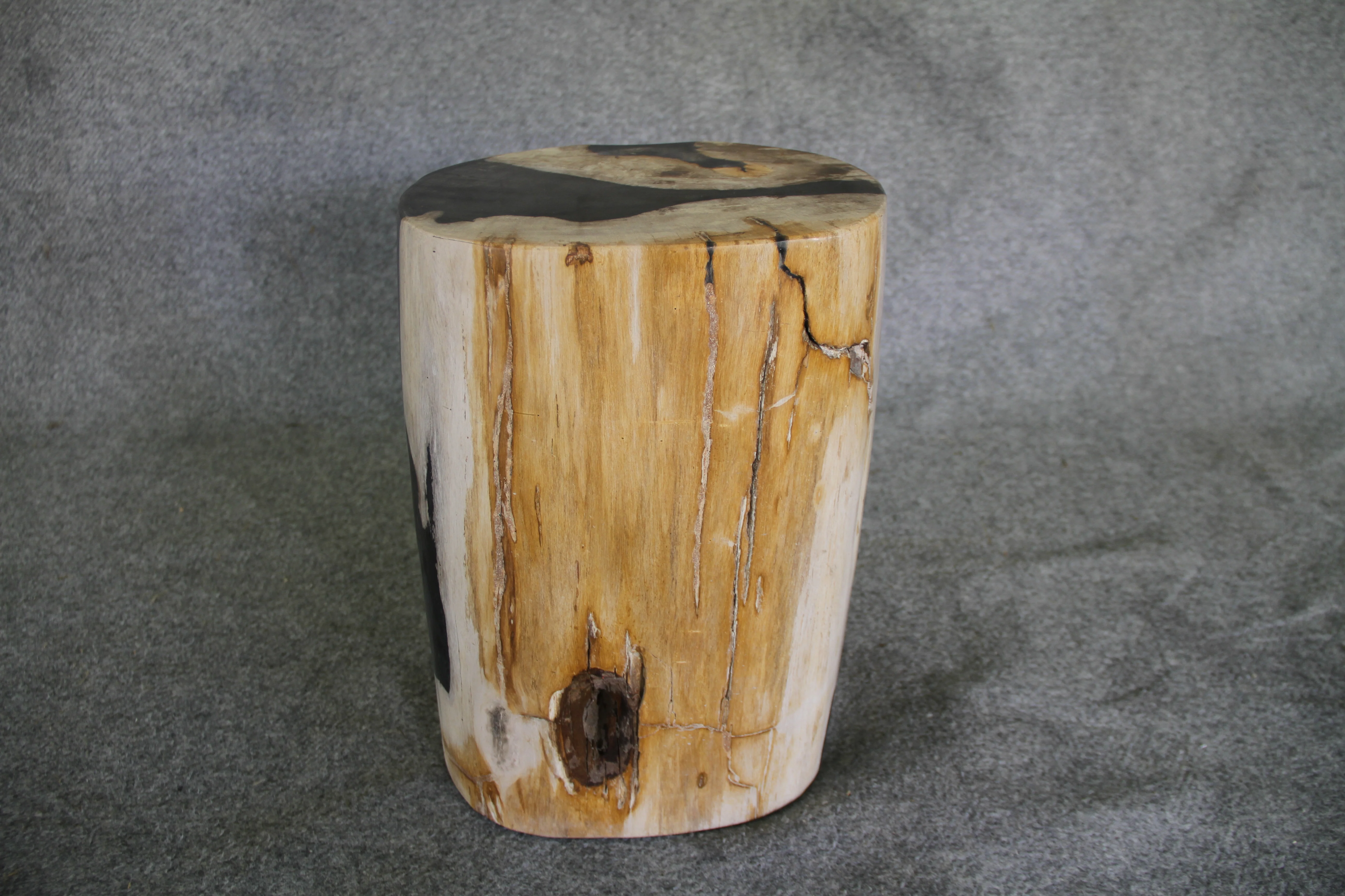 Petrified Wood Log Stool 16in x 11in x 10in - DV.1.195 - Image 3