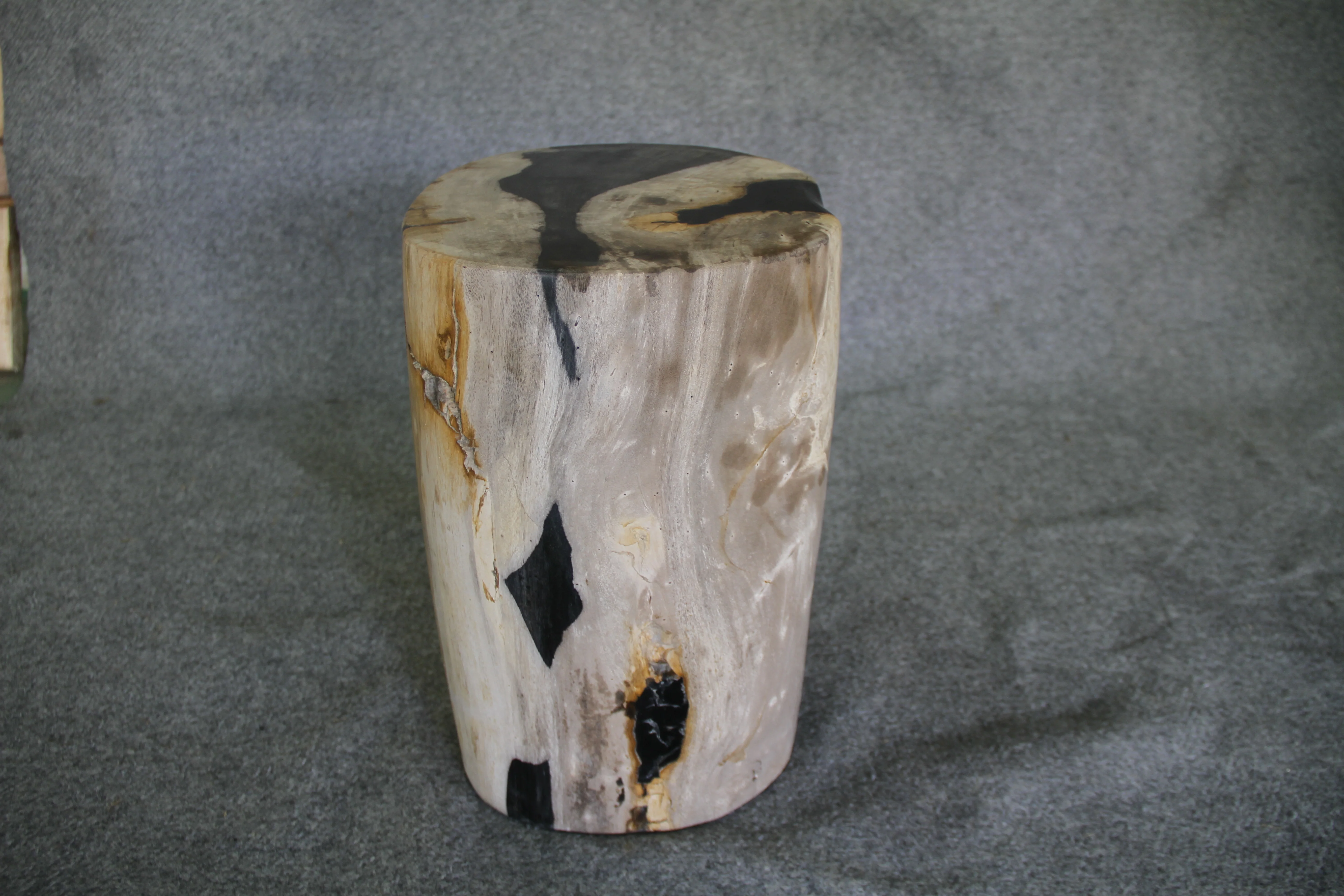 Petrified Wood Log Stool 16in x 11in x 10in - DV.1.195 - Image 5