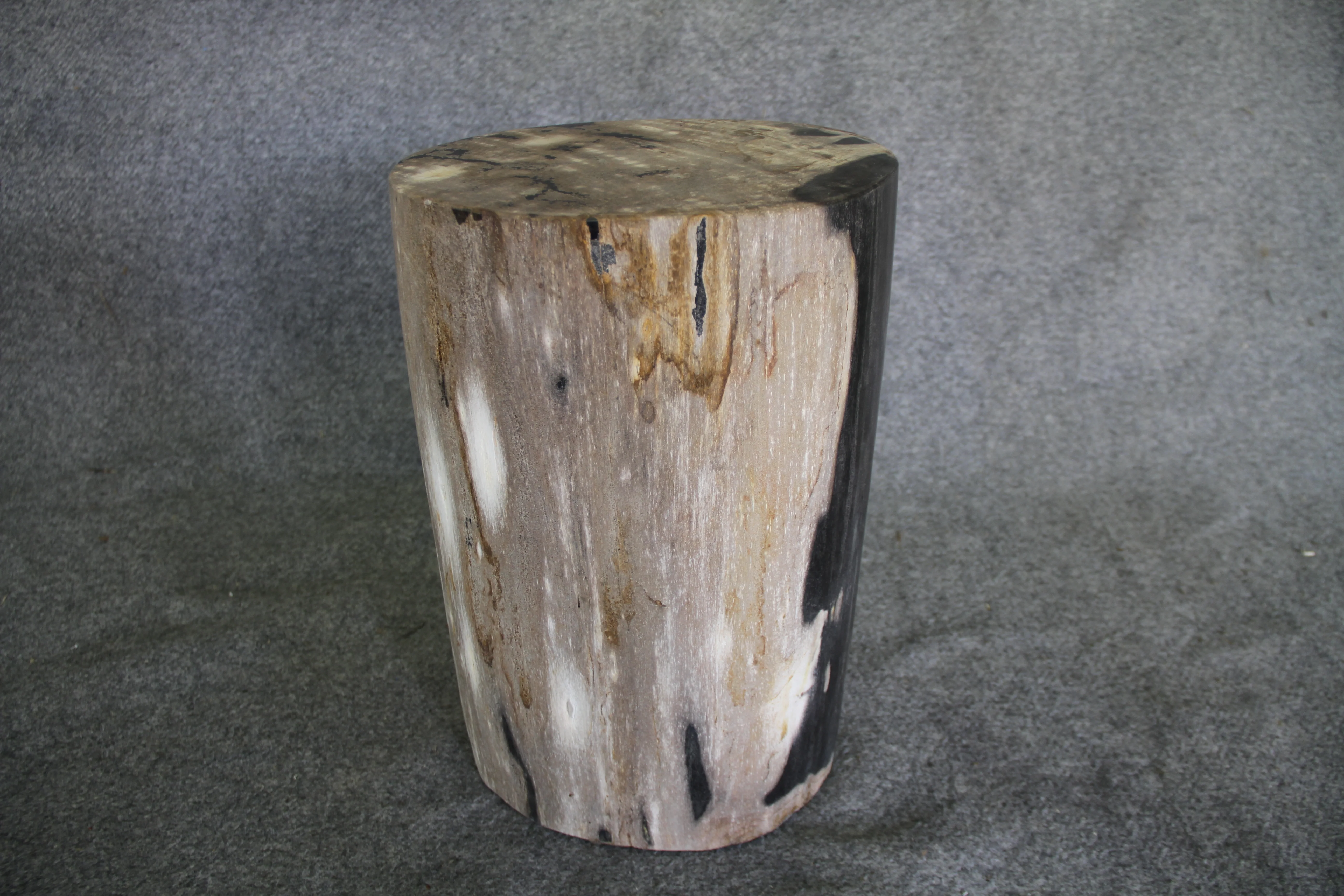 Petrified Wood Log Stool 18in (h)x 11in x 11in - DV.1.113 - Image 2