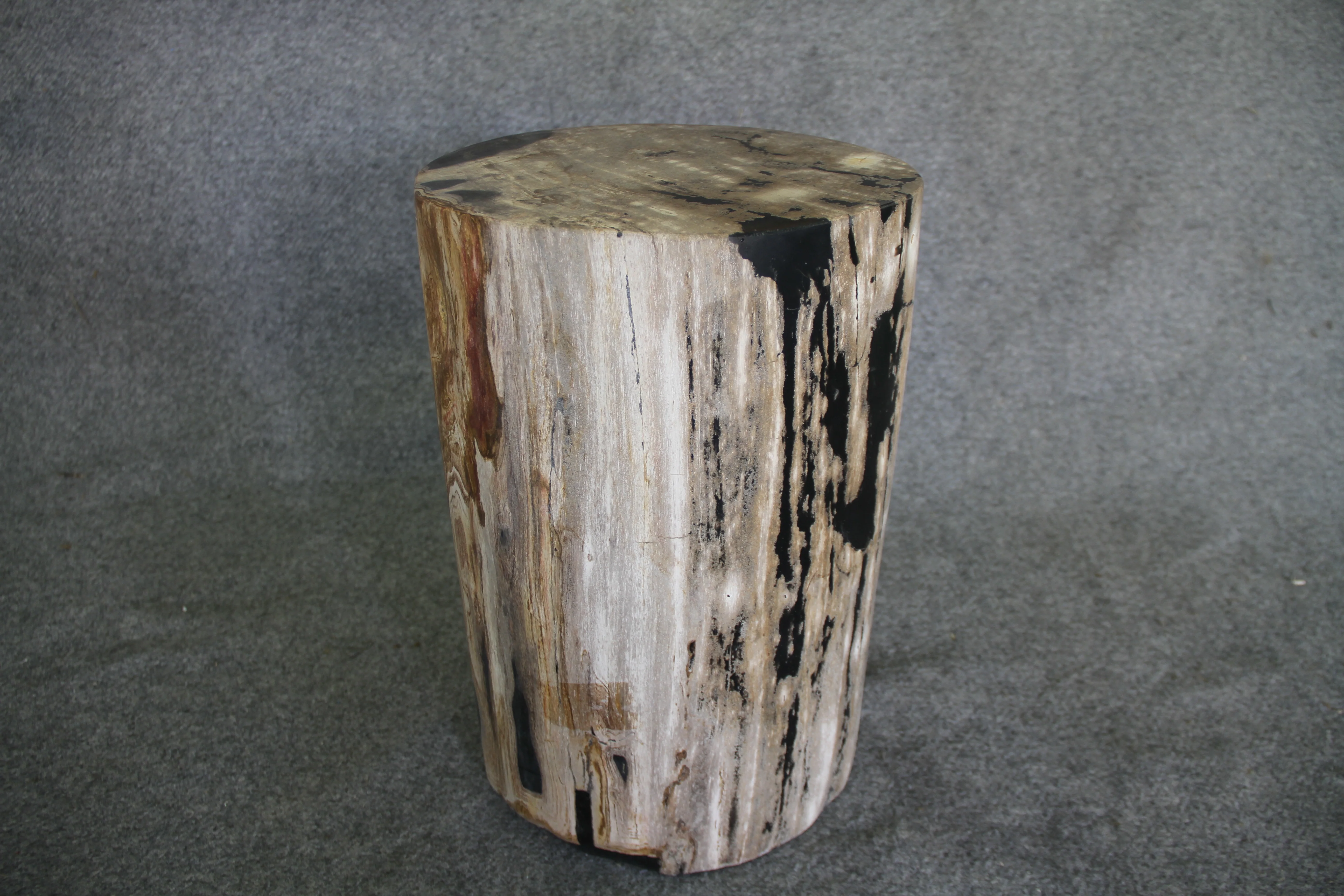 Petrified Wood Log Stool 18in (h)x 11in x 11in - DV.1.113 - Image 3