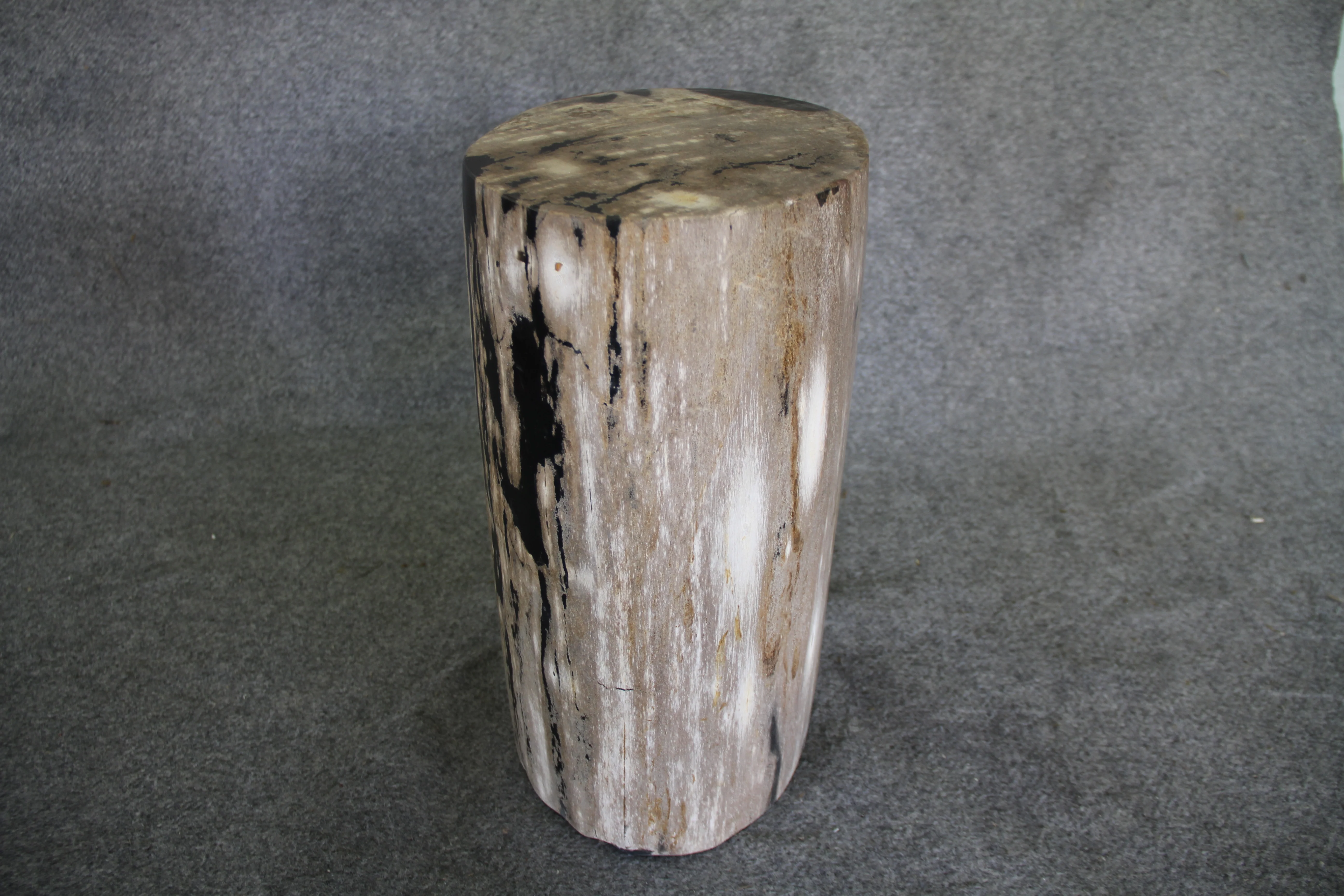 Petrified Wood Log Stool 18in (h)x 11in x 11in - DV.1.113 - Image 4