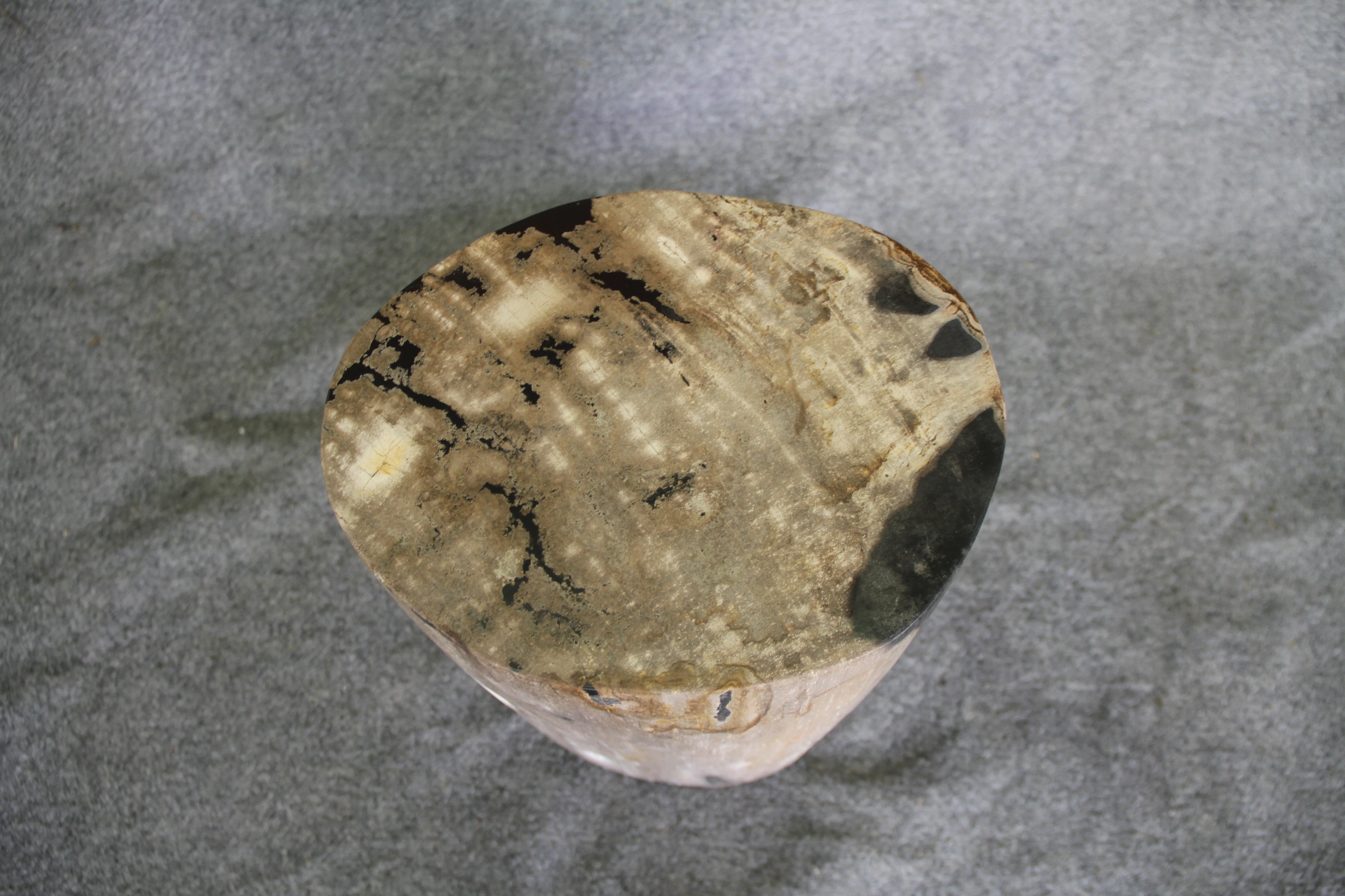 Petrified Wood Log Stool 18in (h)x 11in x 11in - DV.1.113 - Image 5