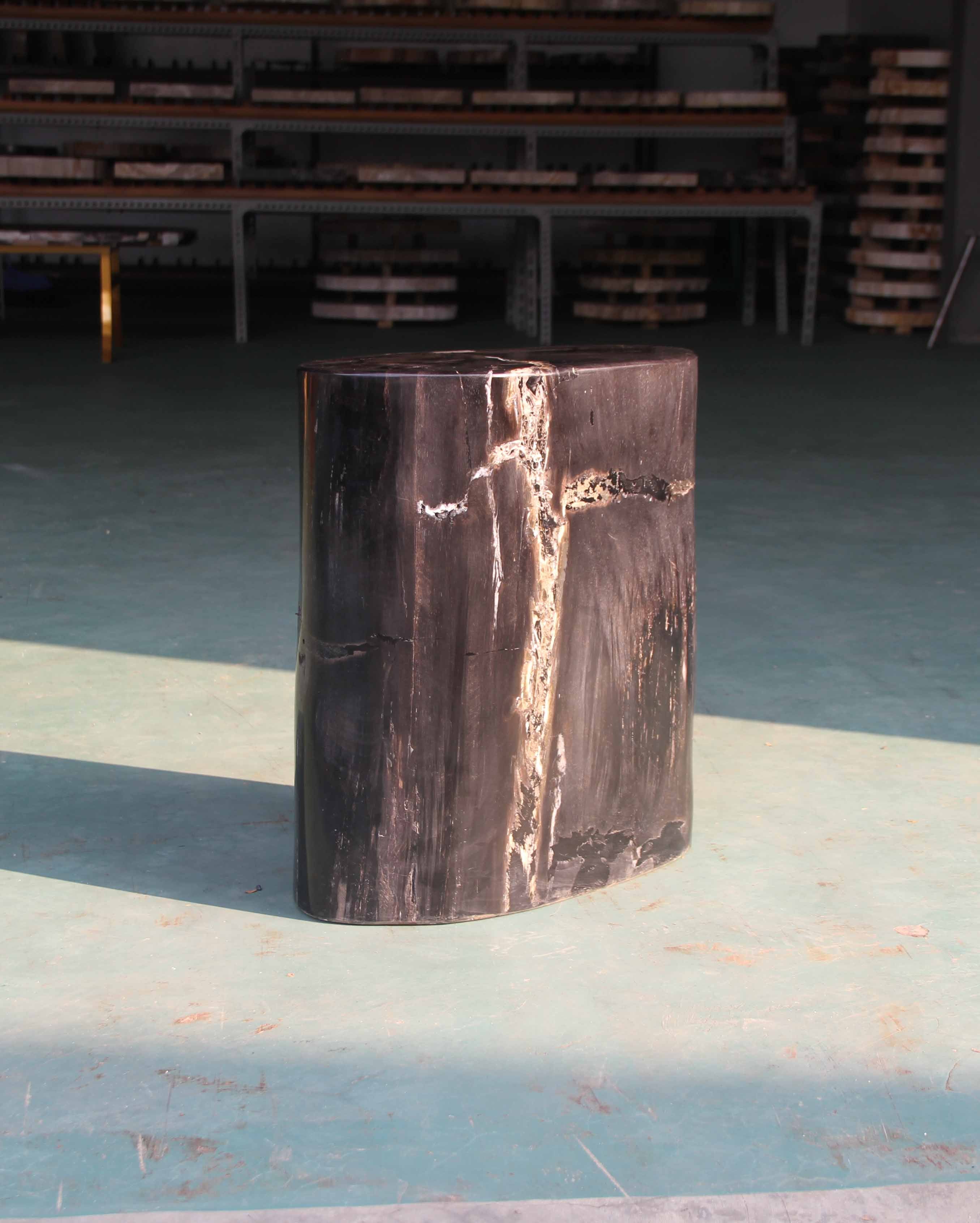Petrified Wood Log Stool 15"x 8"x18"H - PFST0219/20 - Image 5