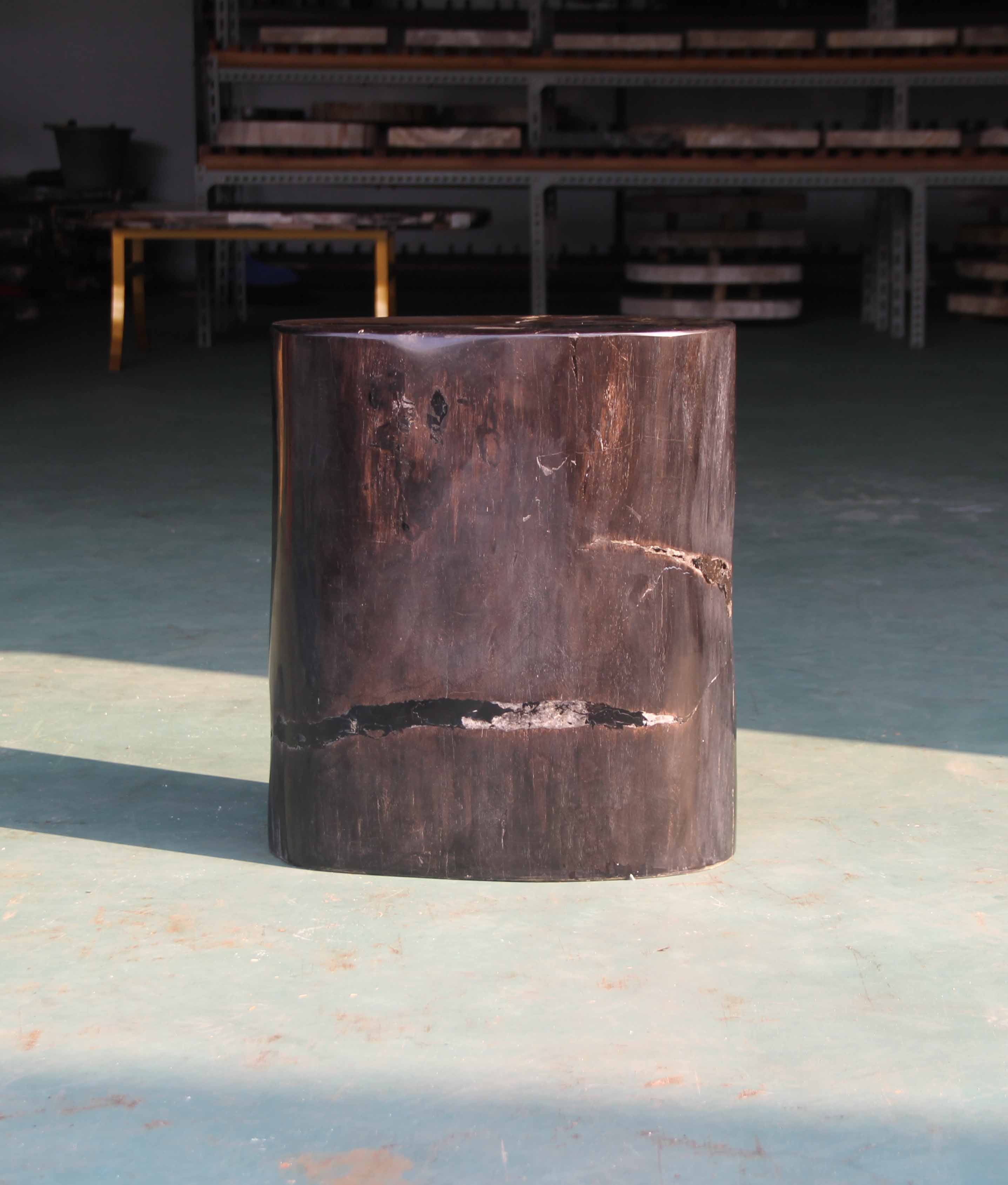 Petrified Wood Log Stool 15"x 8"x18"H - PFST0219/20 - Image 8