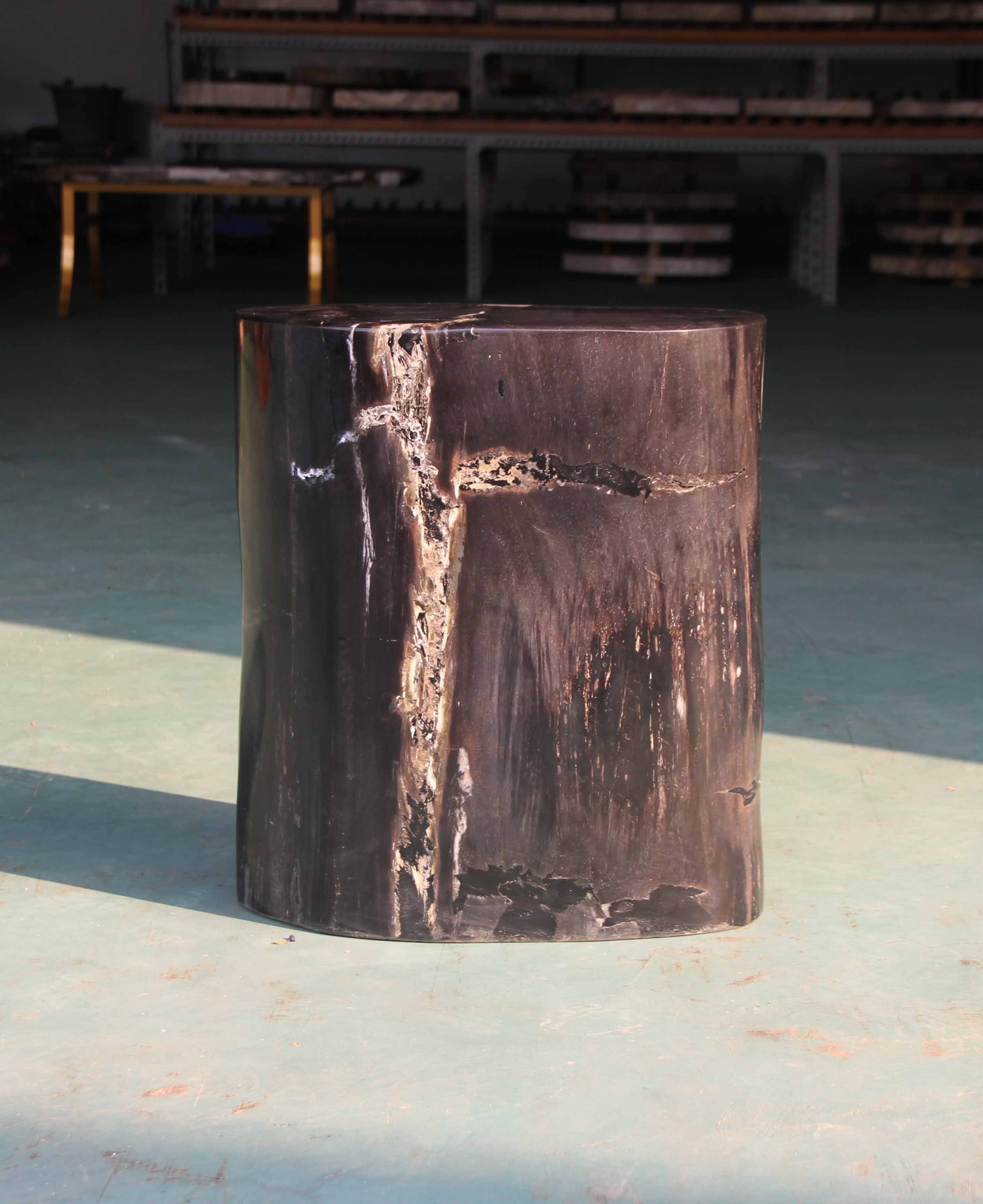 Petrified Wood Log Stool 15"x 8"x18"H - PFST0219/20 - Image 9