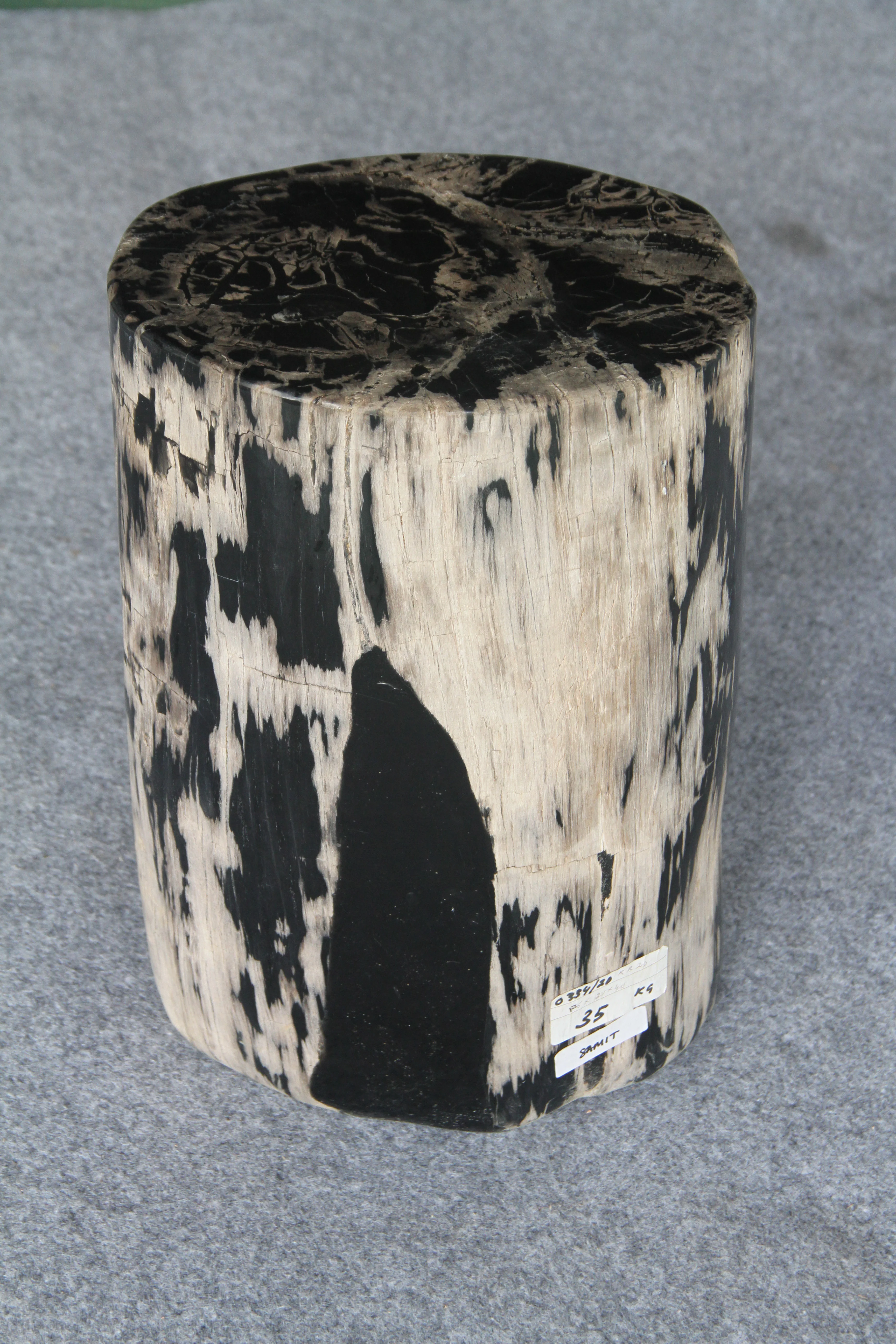 Petrified Wood Log Stool 10"x9"x16"H -PFST0334/20 - Image 3