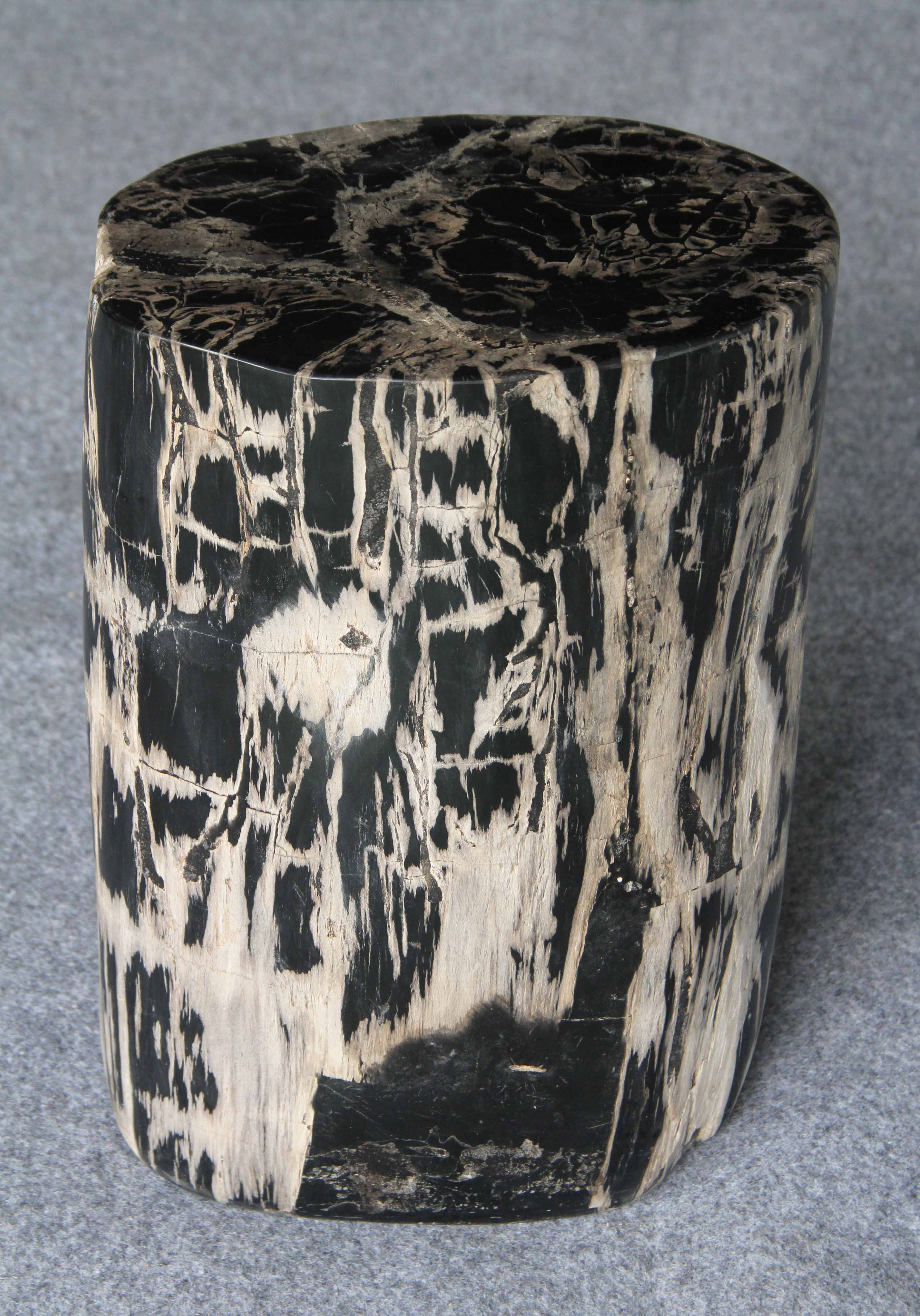 Petrified Wood Log Stool 10"x9"x16"H -PFST0334/20 - Image 5