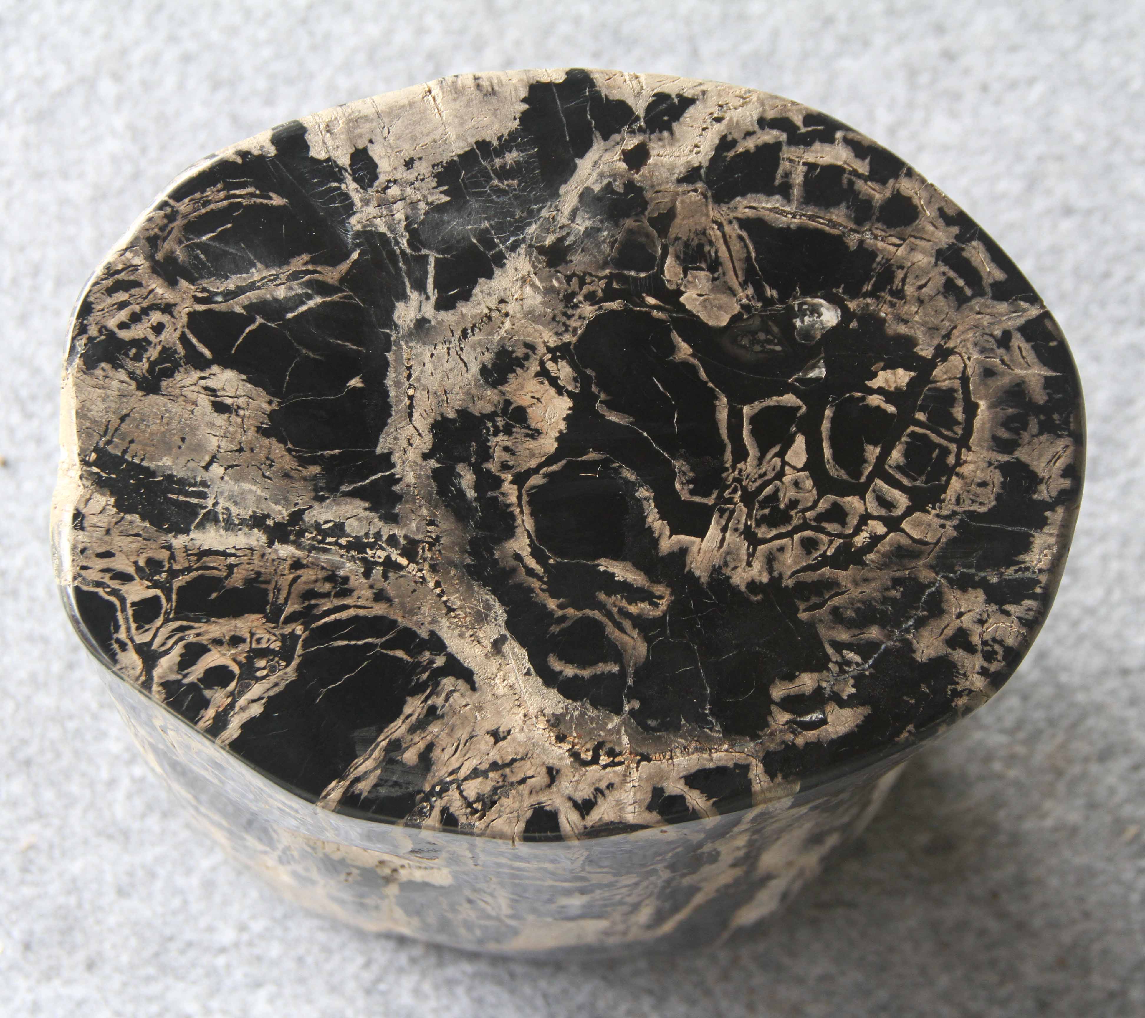 Petrified Wood Log Stool 10"x9"x16"H -PFST0334/20 - Image 6