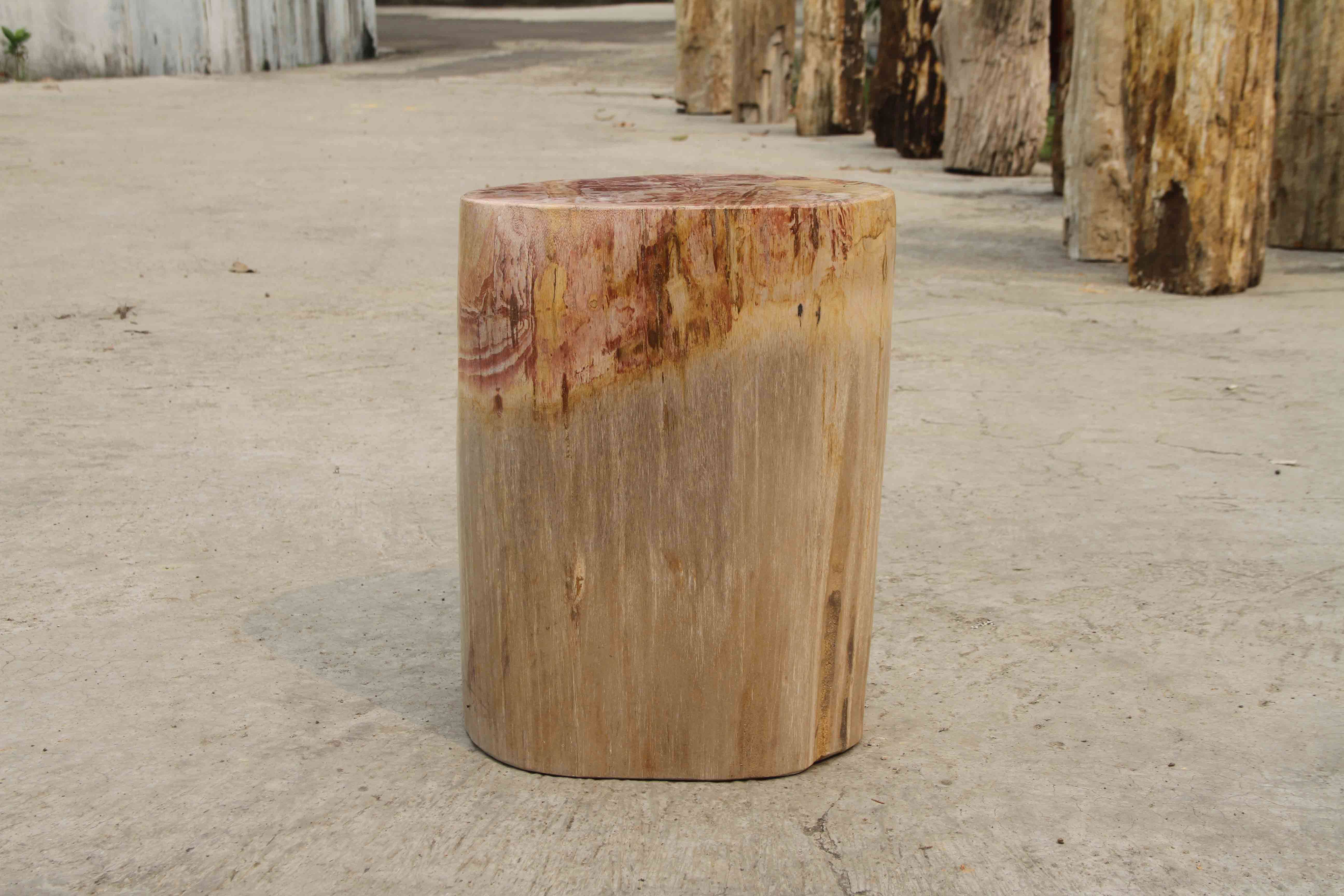 Petrified Wood Log Stool 13"x 9"x 18"H -PFST0673/19 - Image 11