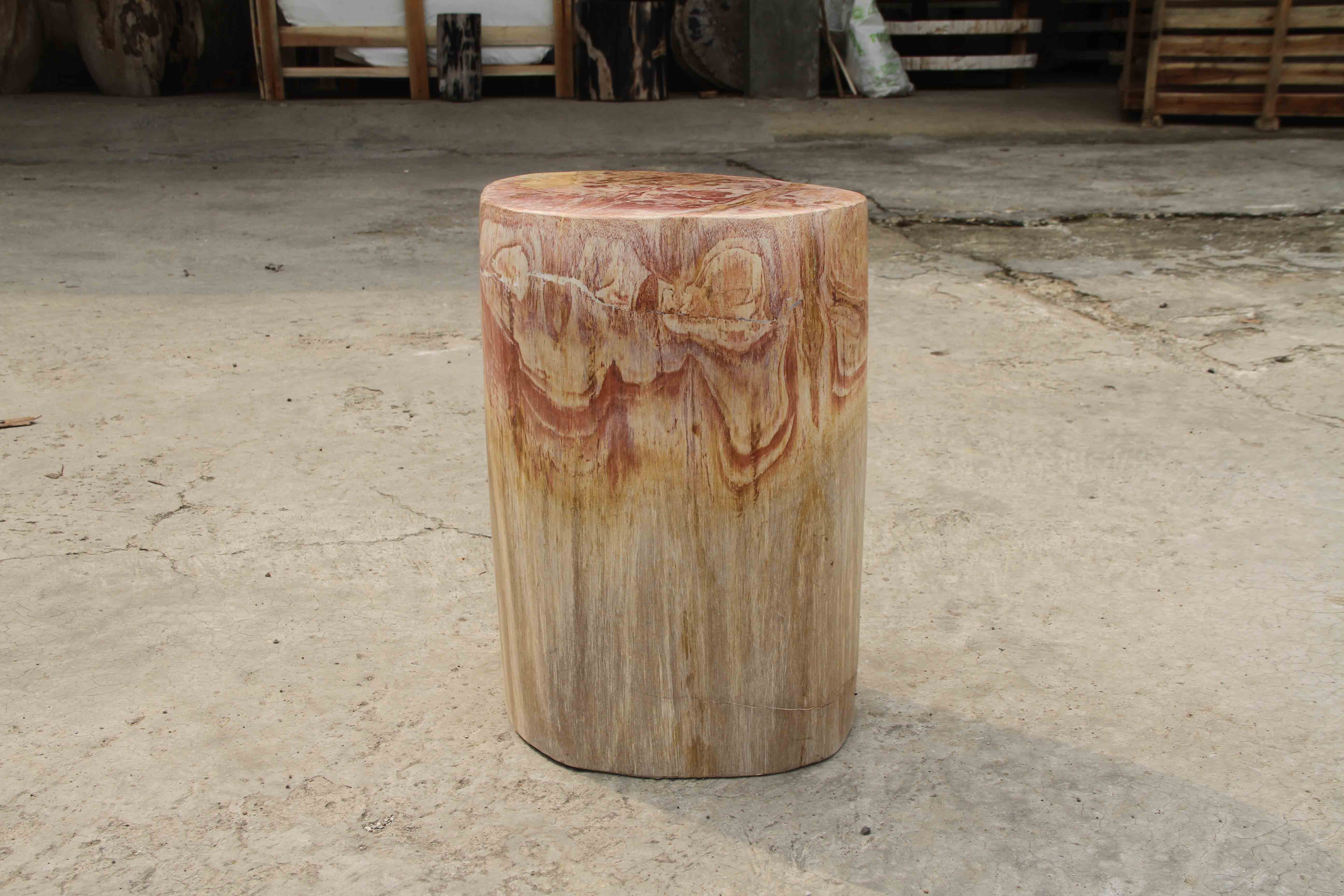 Petrified Wood Log Stool 13"x 9"x 18"H -PFST0673/19 - Image 15