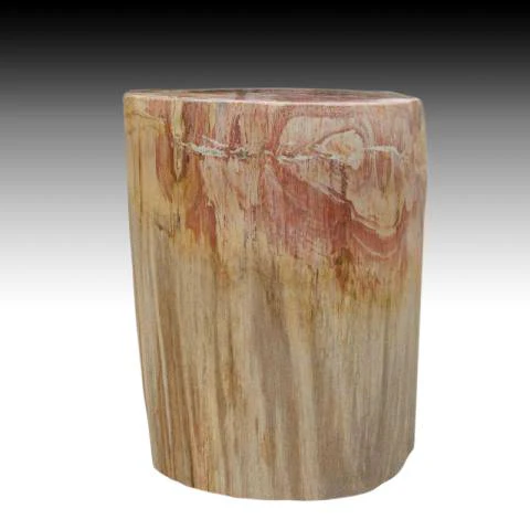 Petrified Wood Log Stool 13"x 9"x 18"H -PFST0673/19 - Image 16