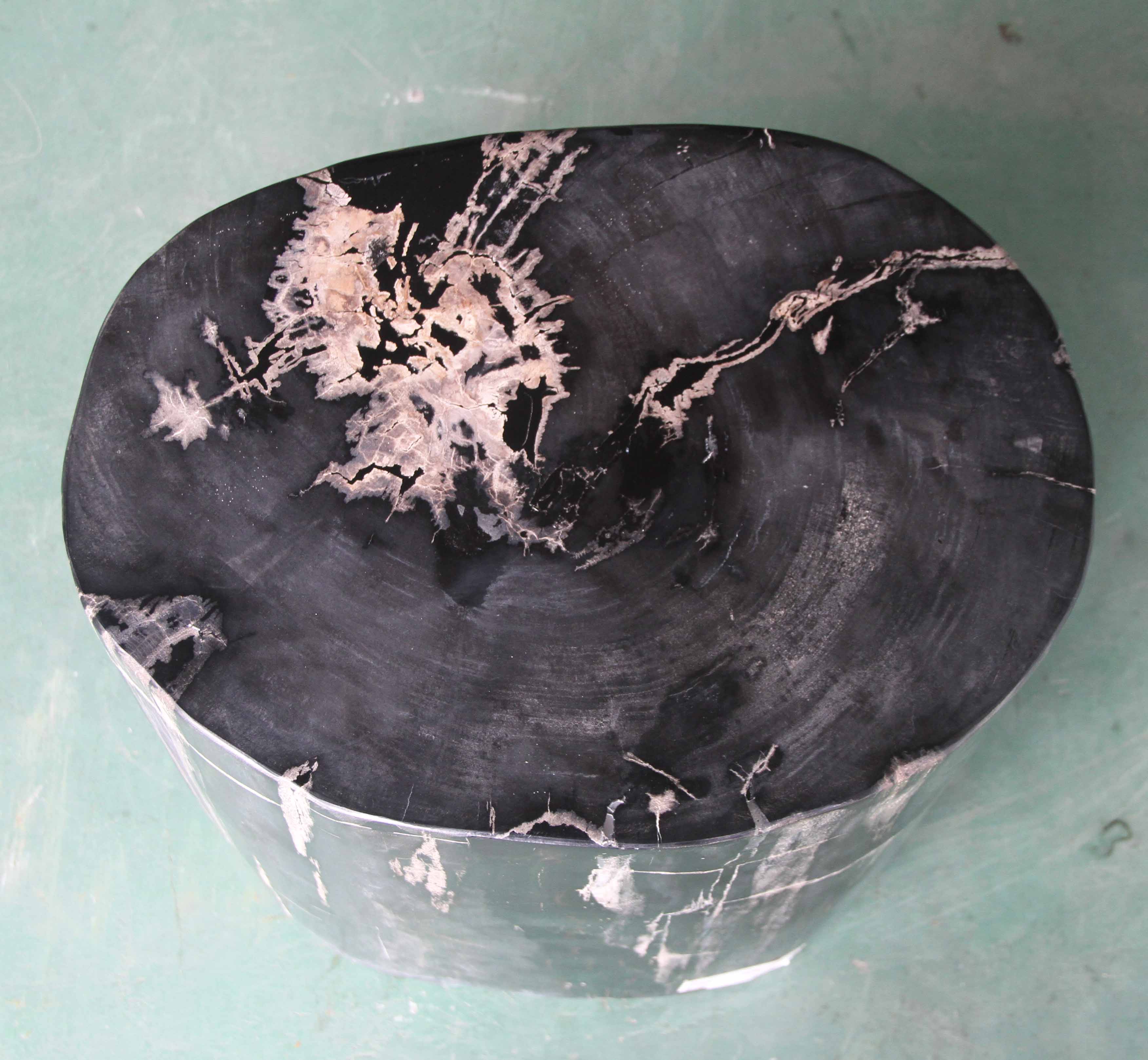 Petrified Wood Log Stool 16"x 12"x 18"H -PFST0742/19 - Image 10