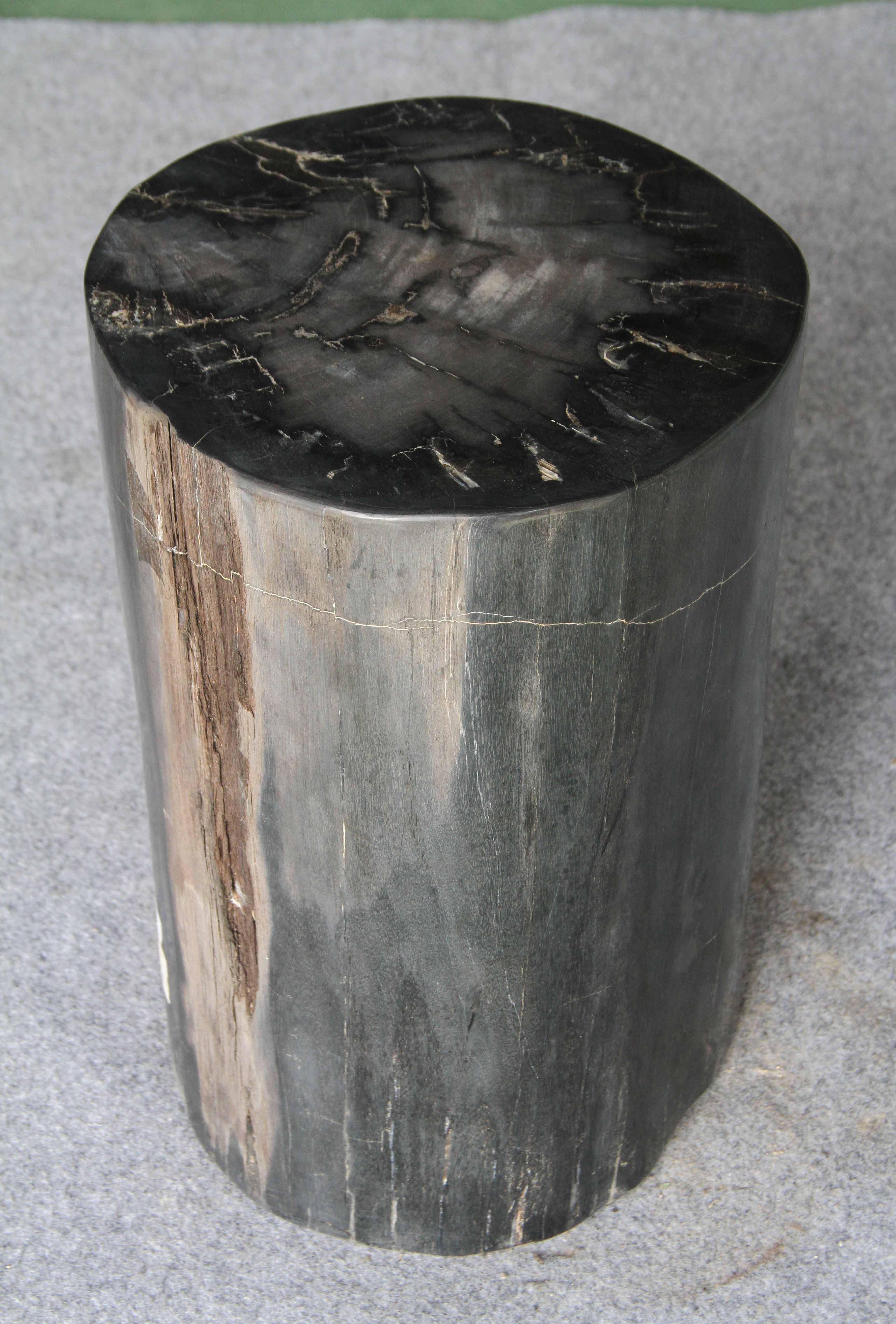 Petrified Wood Log Stool 13" x 12" x19"H -PFST1198/19 - Image 3