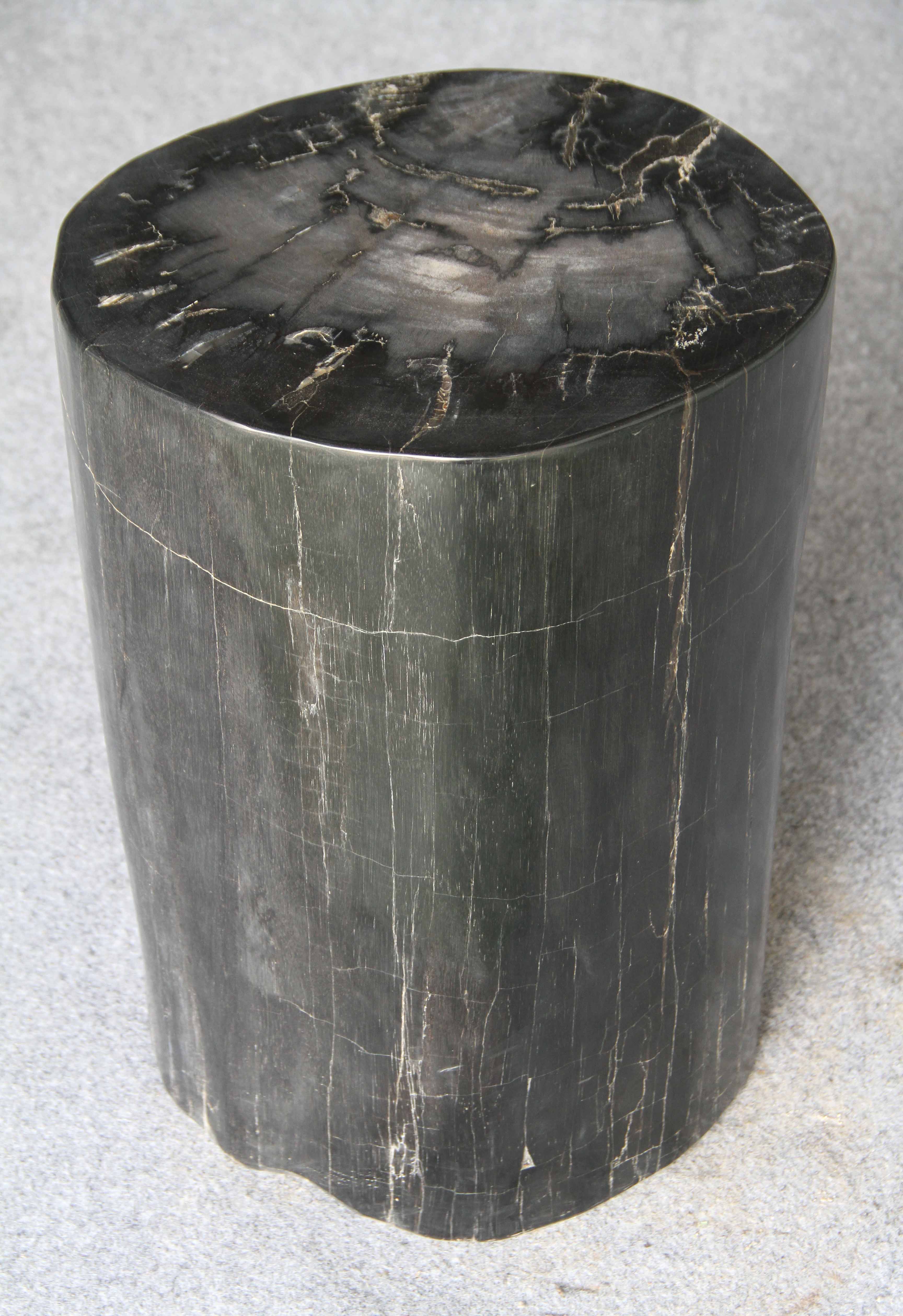Petrified Wood Log Stool 13" x 12" x19"H -PFST1198/19 - Image 5