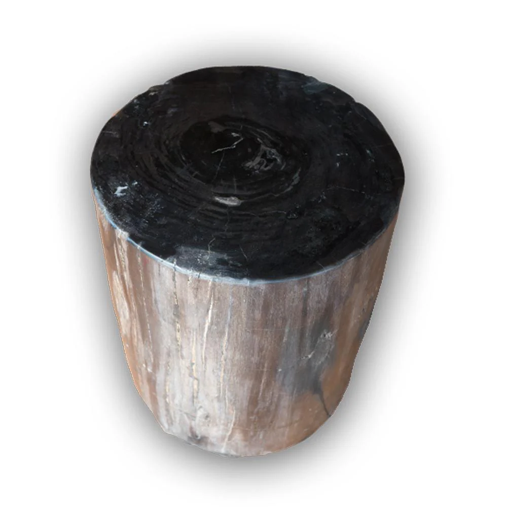 Petrified Wood Log Stool PF-2115 by Aire Furniture - Image 3