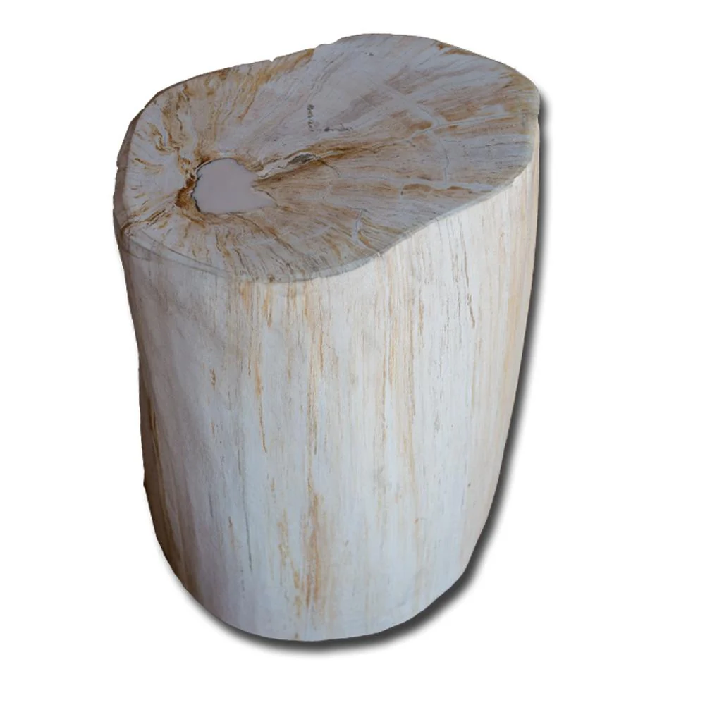Petrified Wood Stool PF-2145 by Aire Furniture - Image 3