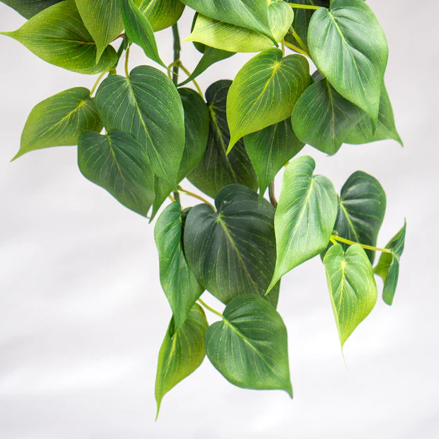 Philodendron Green in Nama Planter Large By Gold Leaf Design Group - Image 4