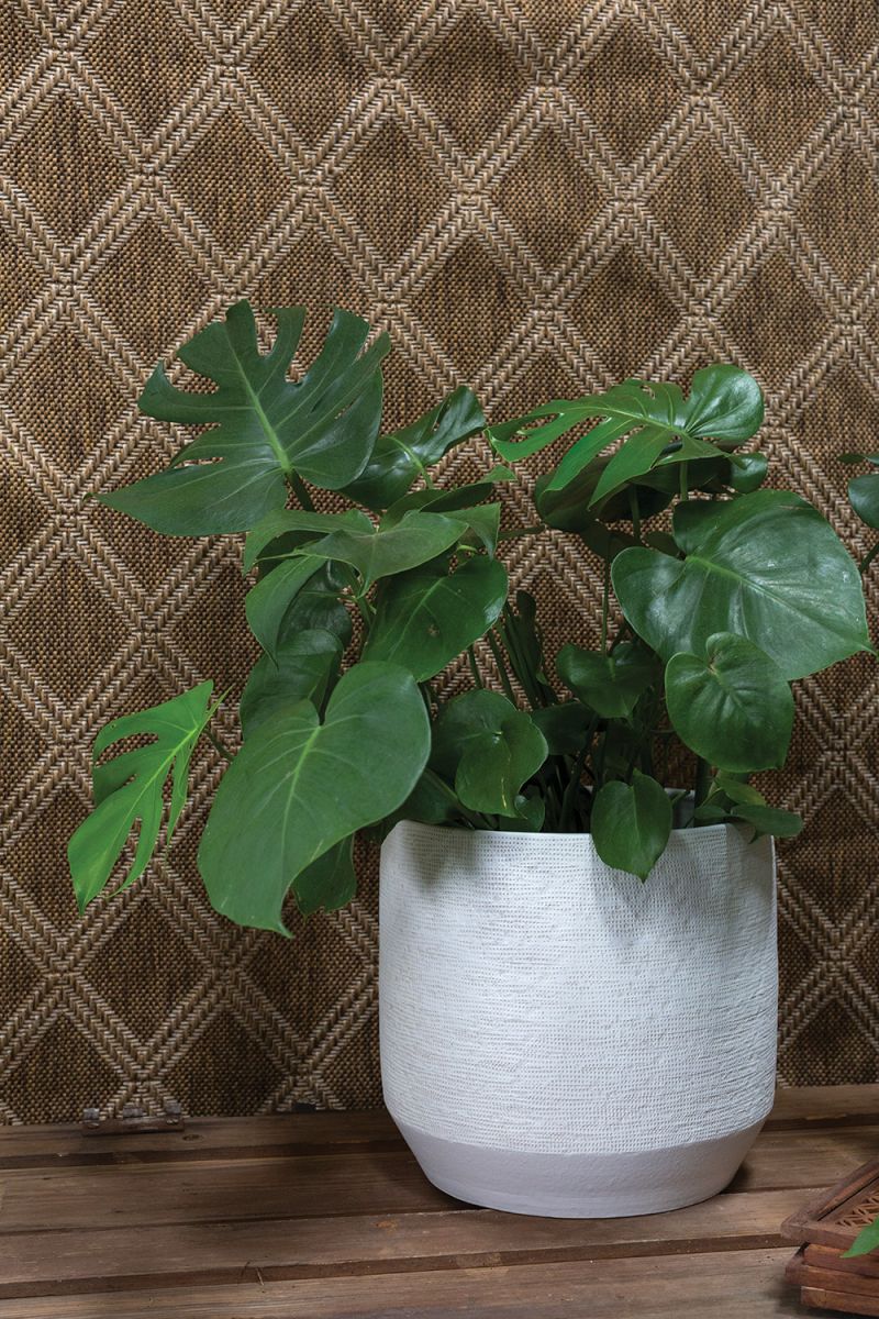 Ray Pot By Accent Decor - Image 2