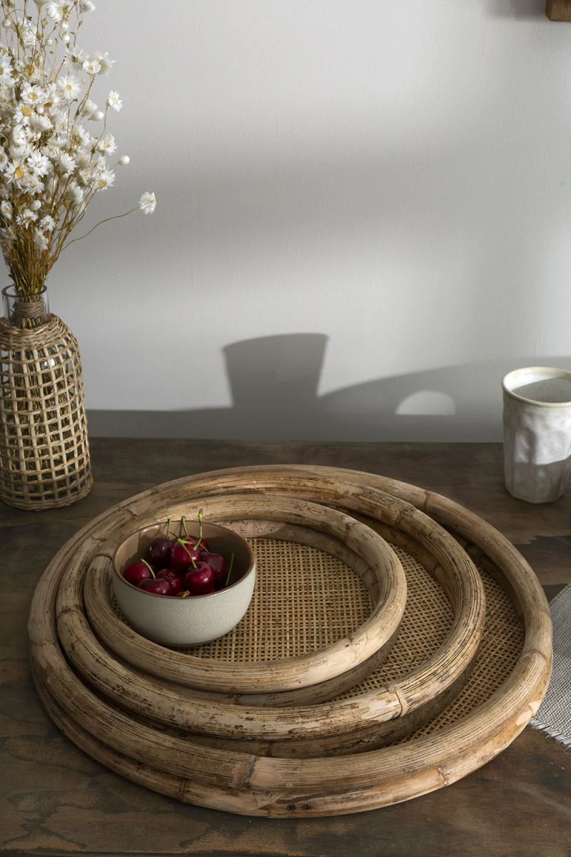 Remmington Tray 20" x  2" By Accent Decor - Image 4