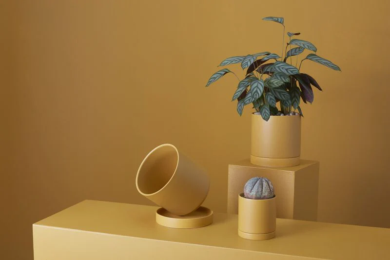 Romey Pot 4.25"x 4.75" Set Of 4 By Accent Decor - Image 15