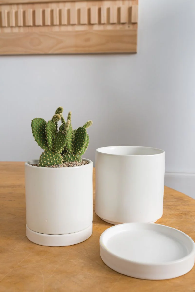 Romey Pot 5"x 5.75" Set Of 4 By Accent Decor - Image 3