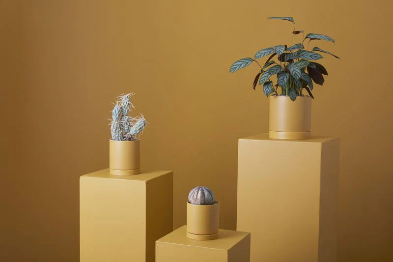Romey Pot 7"x 7" Set Of 4 By Accent Decor - Image 13